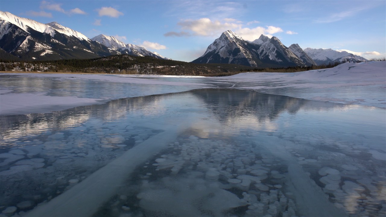 The-Frozen-Bubbles-Of-Abraham-Lake-And-Driving-Icefields-Parkway-Canada the-frozen-bubbles-of-abraham-lake-and-driving-icefields-parkway-canada