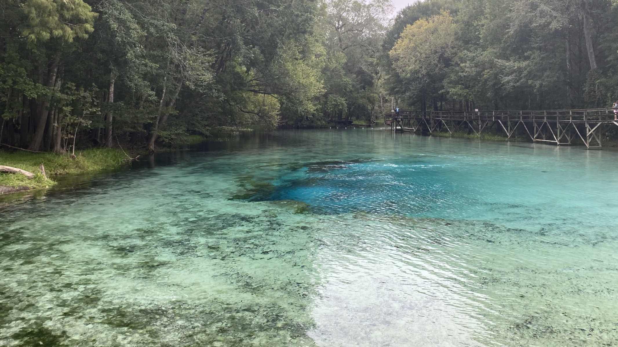 The-Native8217s-Guide-To-Blue-Spring-In-Florida the-natives-guide-to-blue-spring-in-florida