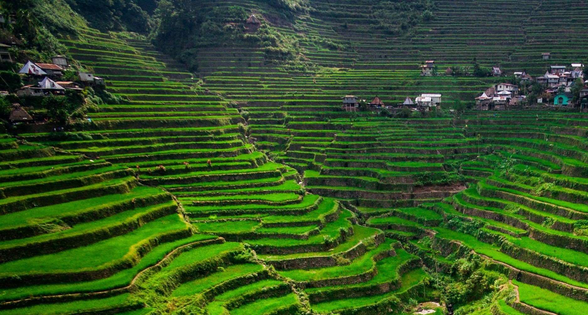The-Things-I-Did-RIGHT-In-Southeast-Asia the-things-i-did-right-in-southeast-asia