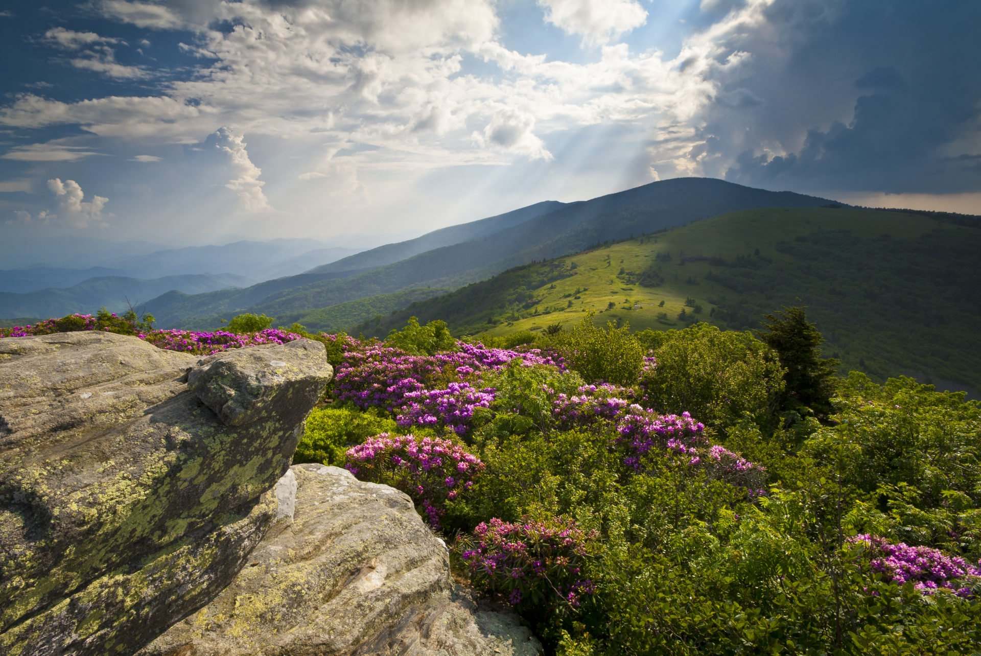 Top-Three-Hiking-Trails-In-Every-US-State-According-To-Hikers top-three-hiking-trails-in-every-us-state-according-to-hikers
