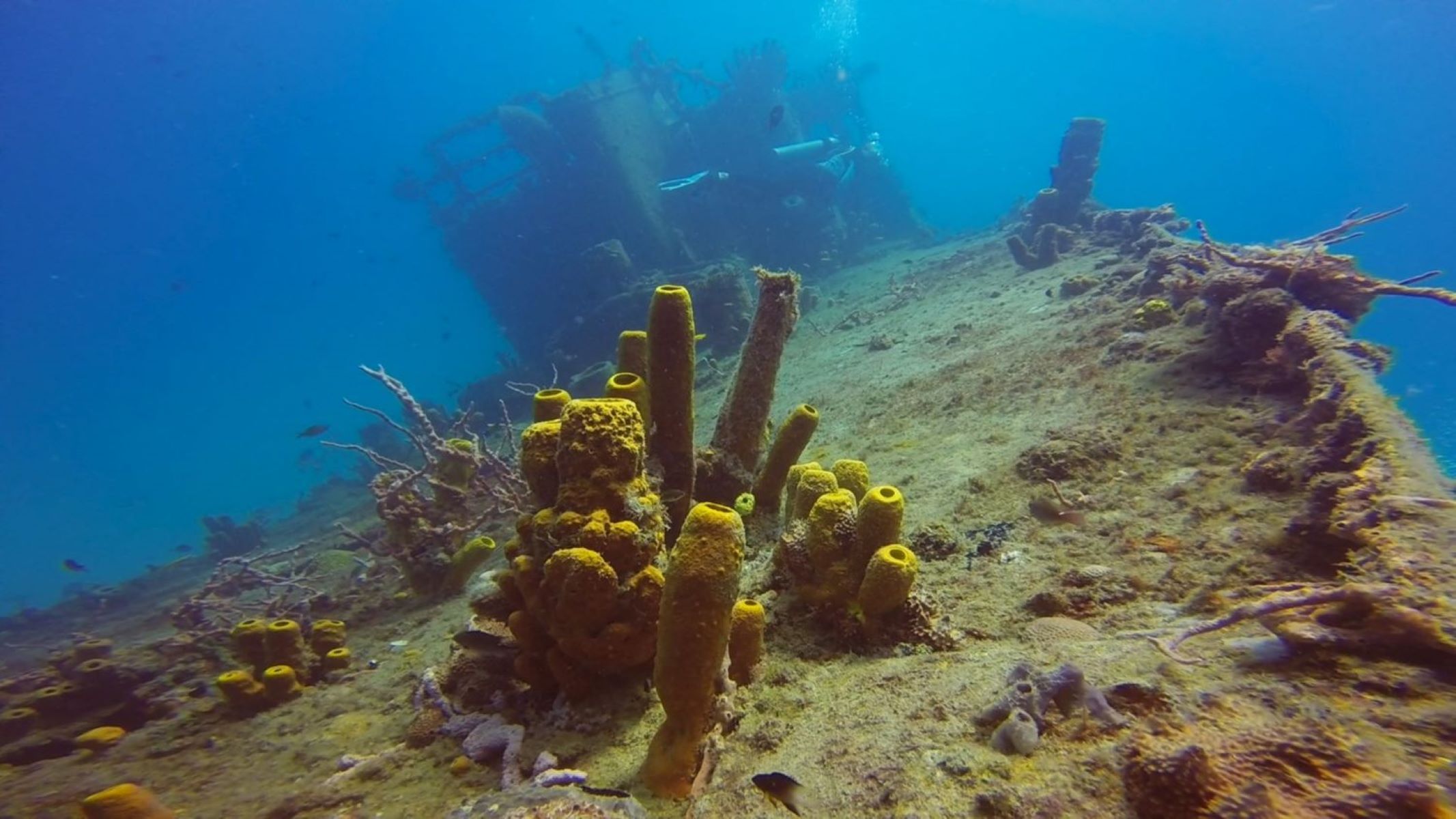 Travel-To-Barbados-038-Explore-Shipwrecks travel-to-barbados-explore-shipwrecks