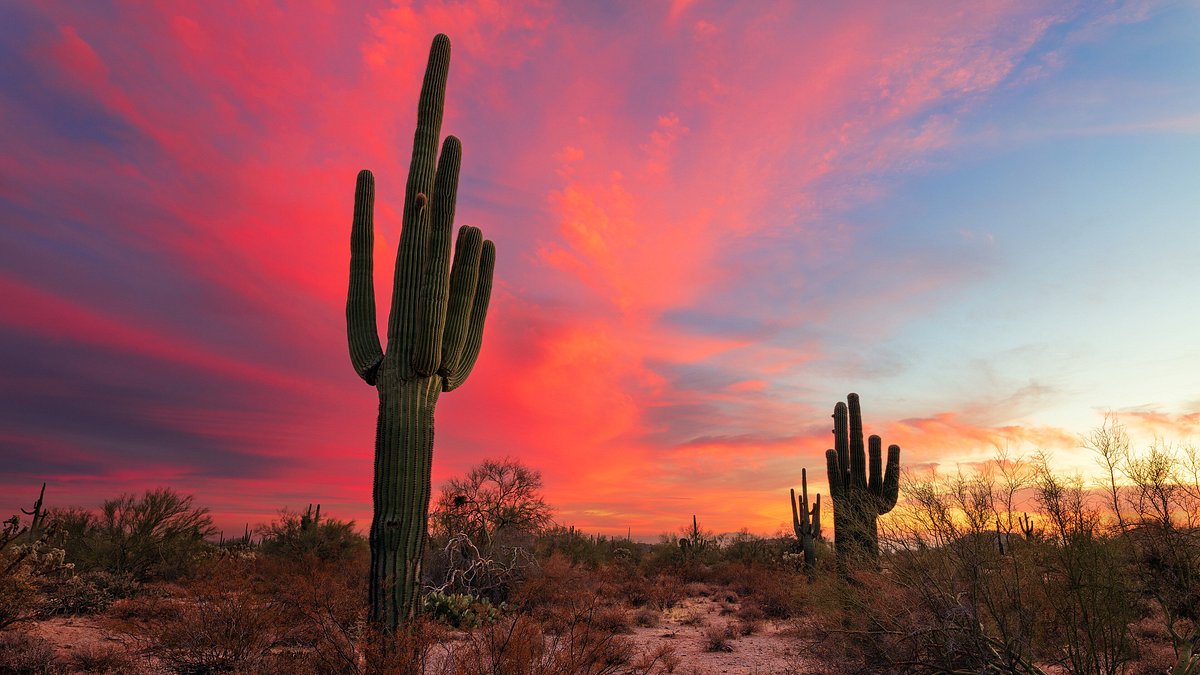 Unique-And-Unexpected-Things-To-Do-In-Phoenix-Arizona unique-and-unexpected-things-to-do-in-phoenix-arizona