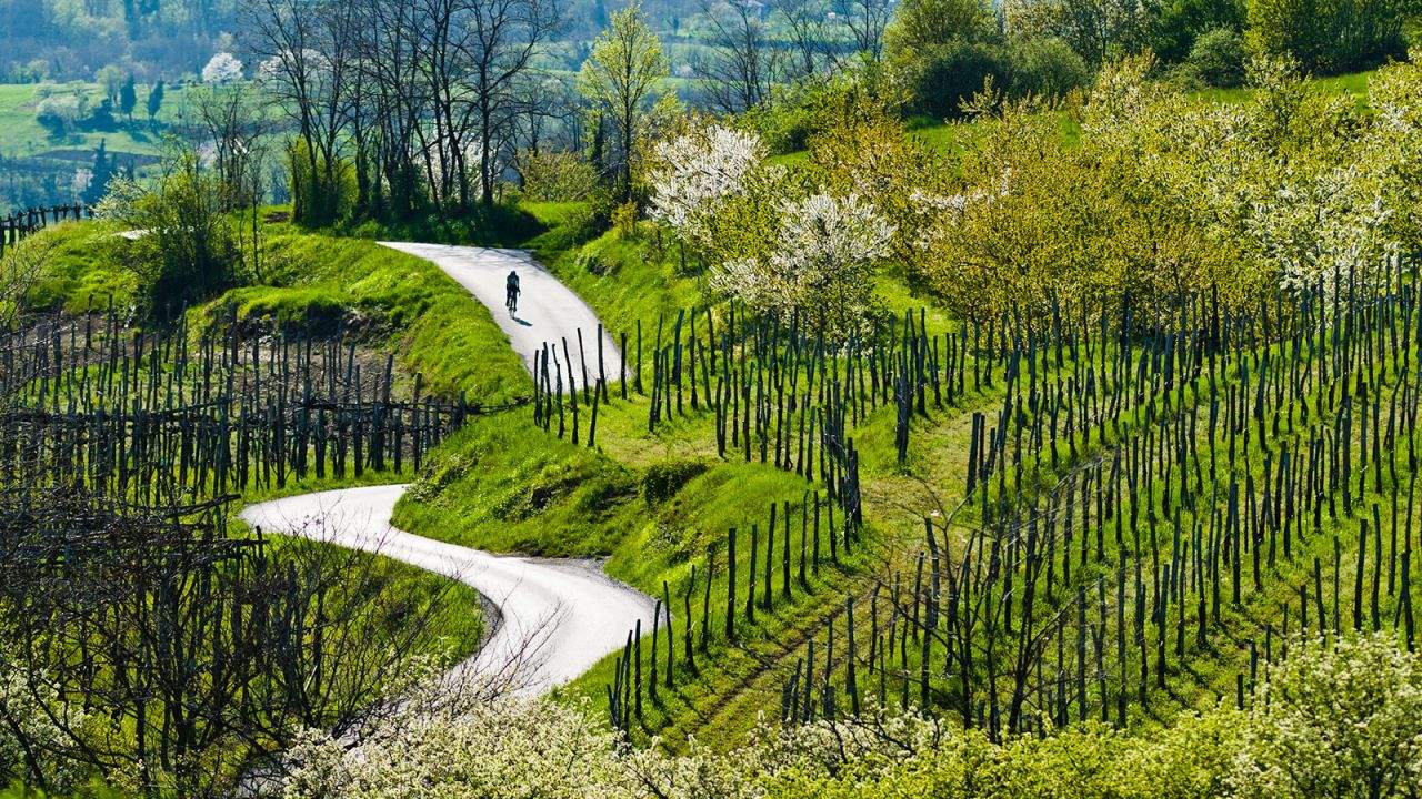 vipava-valley-travel-guide-slovenias-underrated-wine-region