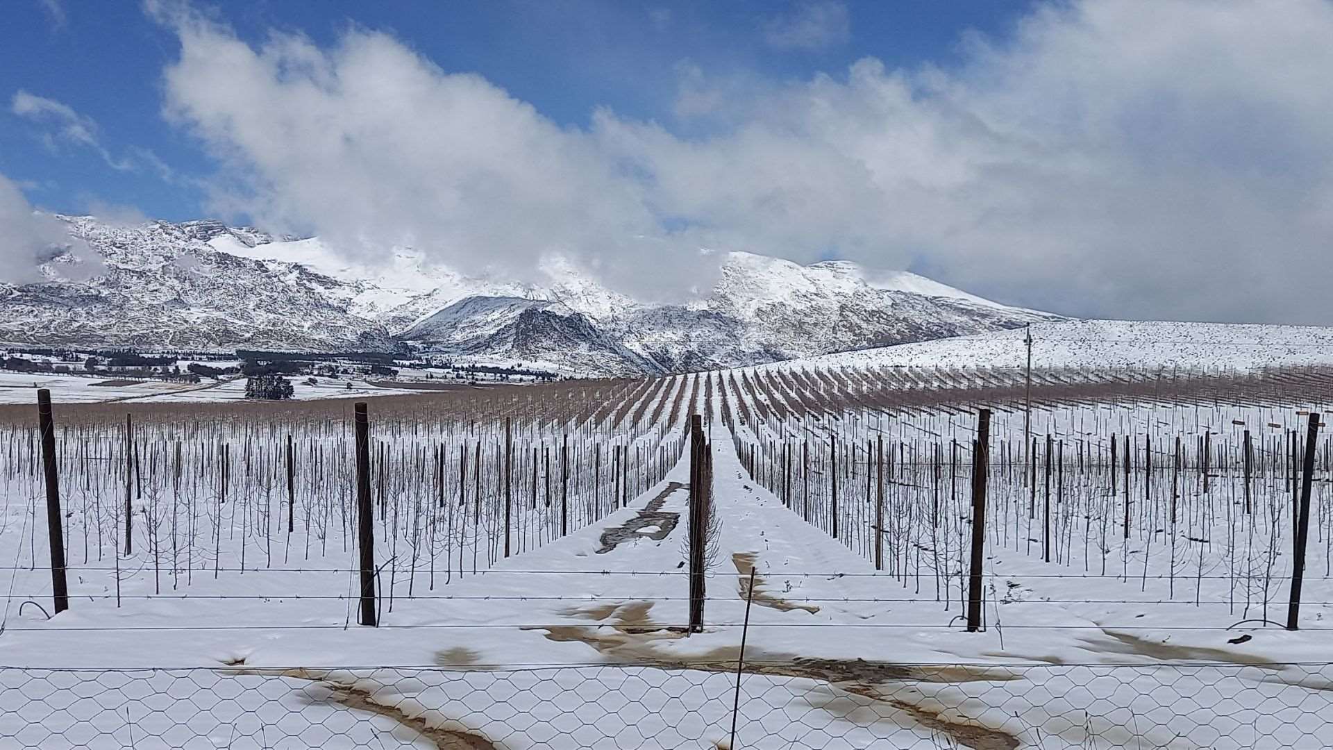 Visiting South Africa in the Winter Worth It or Not? TouristSecrets