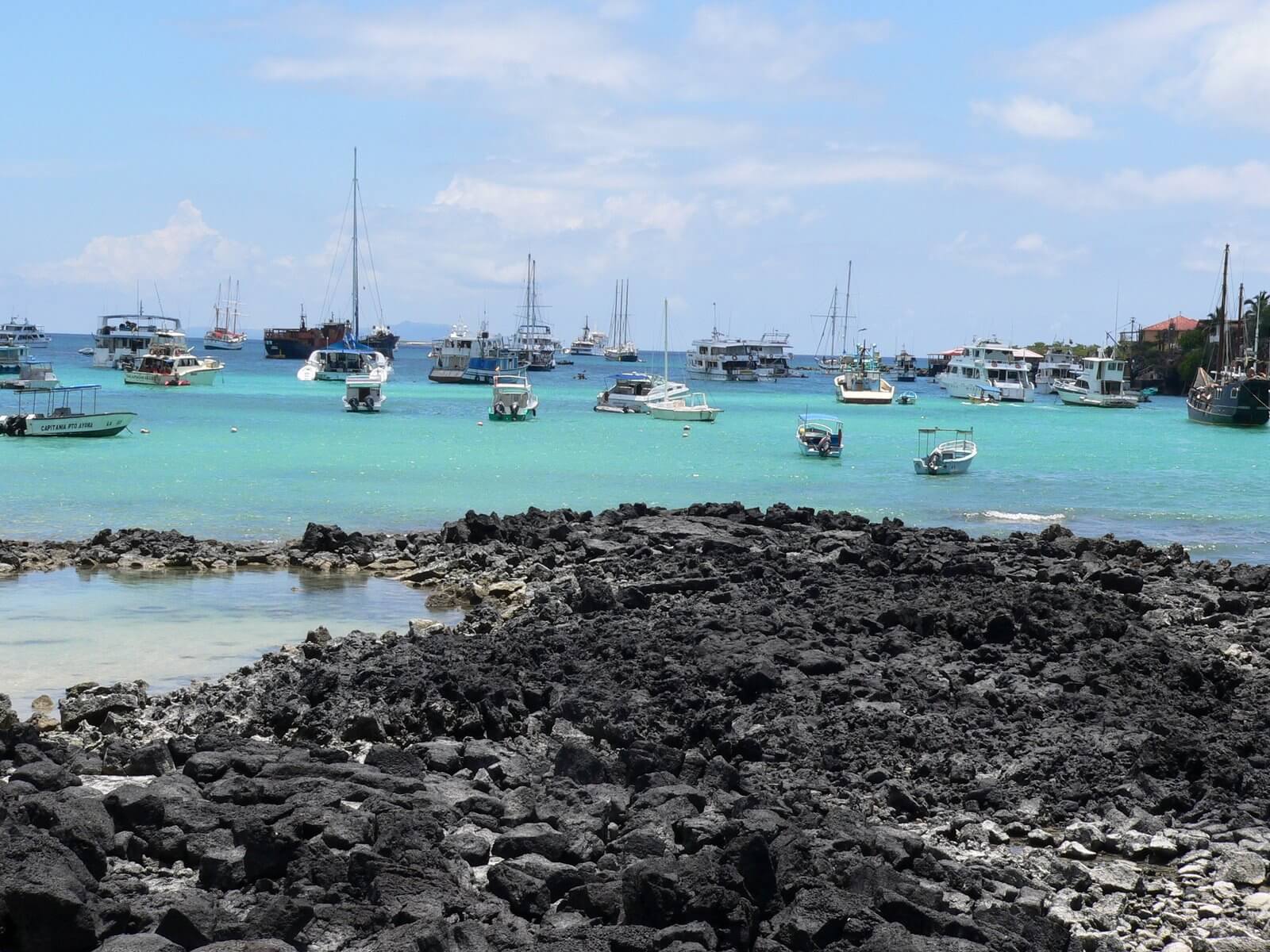 Visiting-The-Galapagos-Islands-On-A-Budget visiting-the-galapagos-islands-on-a-budget