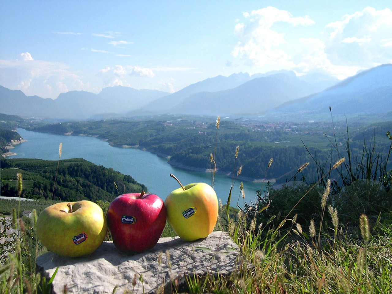 Visiting-Val-Di-Non-In-Trentino-Apples-Aristocrats-And-Alpine-Lakes visiting-val-di-non-in-trentino-apples-aristocrats-and-alpine-lakes