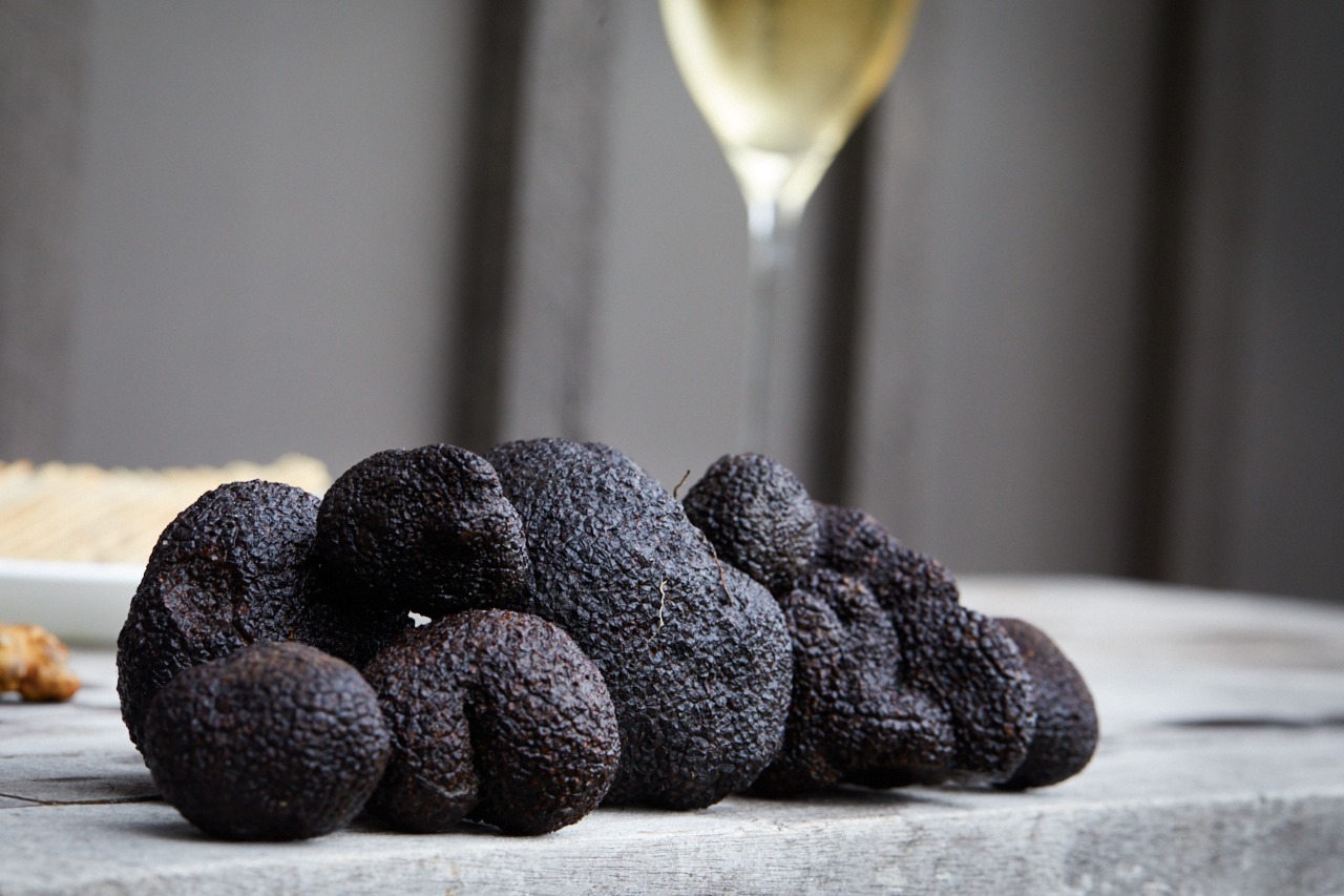 Where-To-Go-Truffle-Hunting-In-Britain where-to-go-truffle-hunting-in-britain