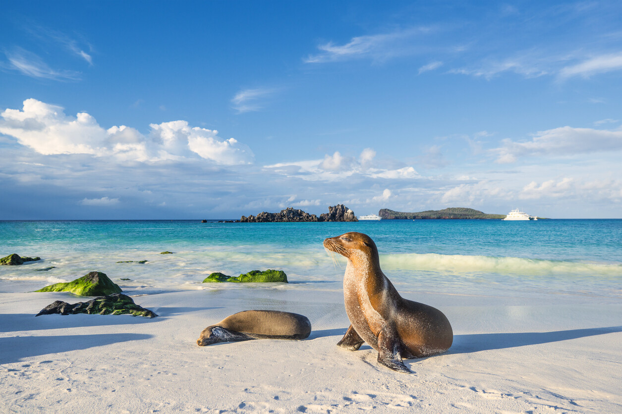 Why-Espanola-Island-Is-The-Jewel-Of-The-Galapagos-Islands why-espanola-island-is-the-jewel-of-the-galapagos-islands