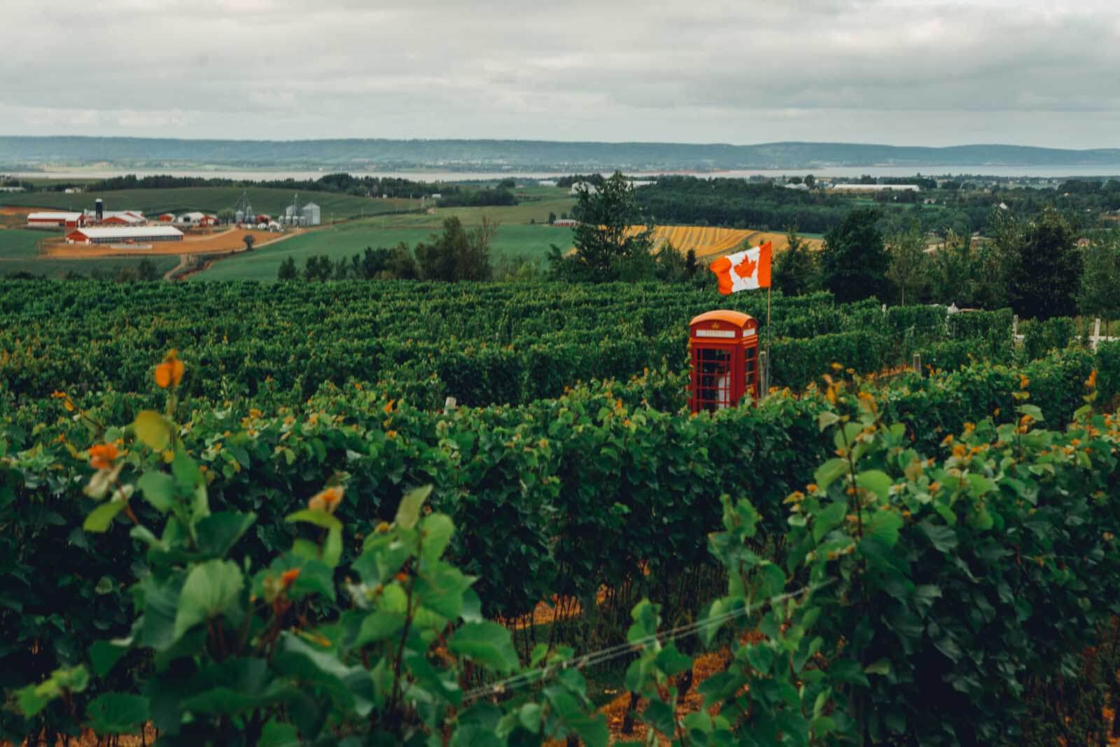 wolfville-wineries-the-best-annapolis-valley-vineyards