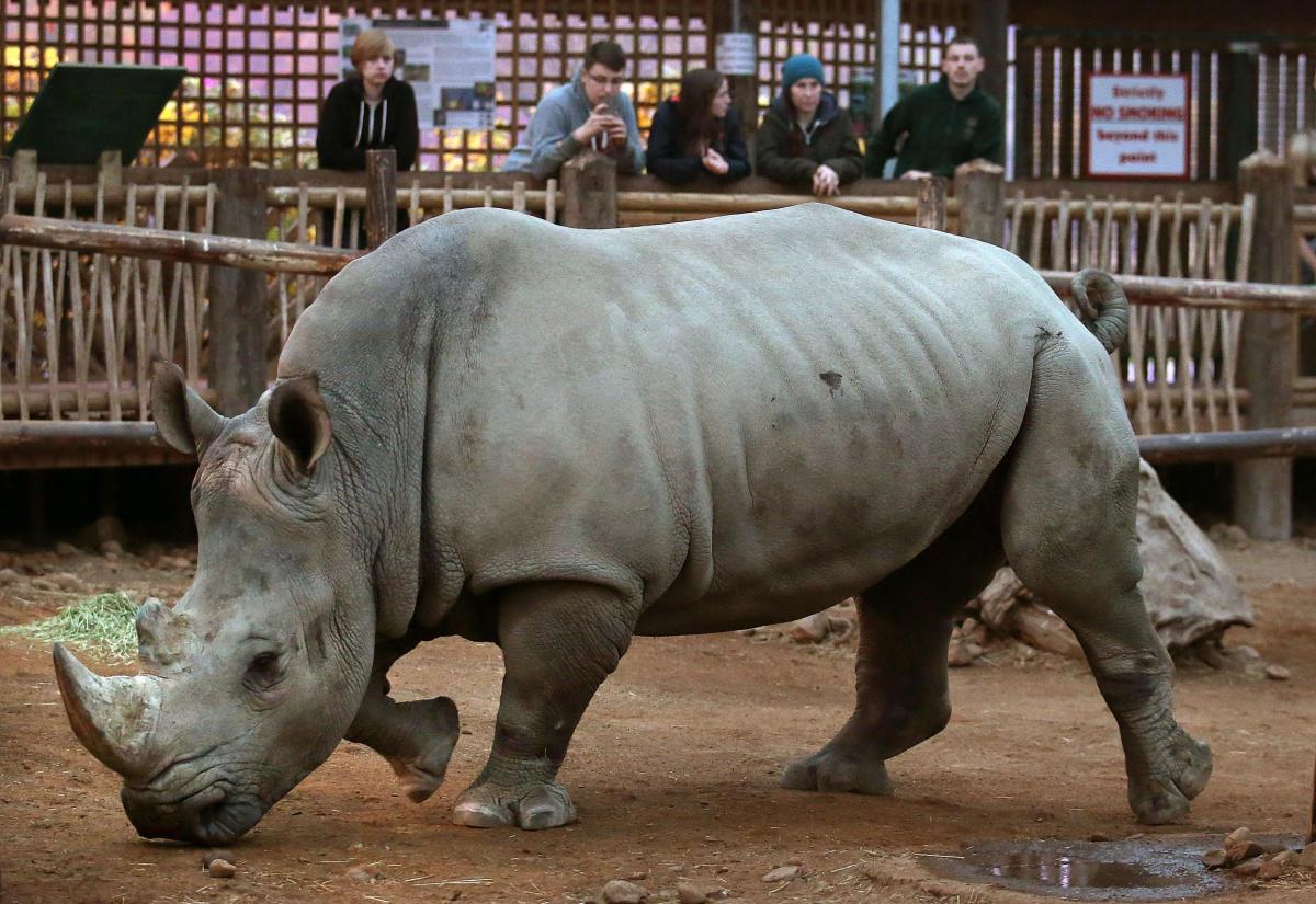 you-can-go-on-safari-in-scotland