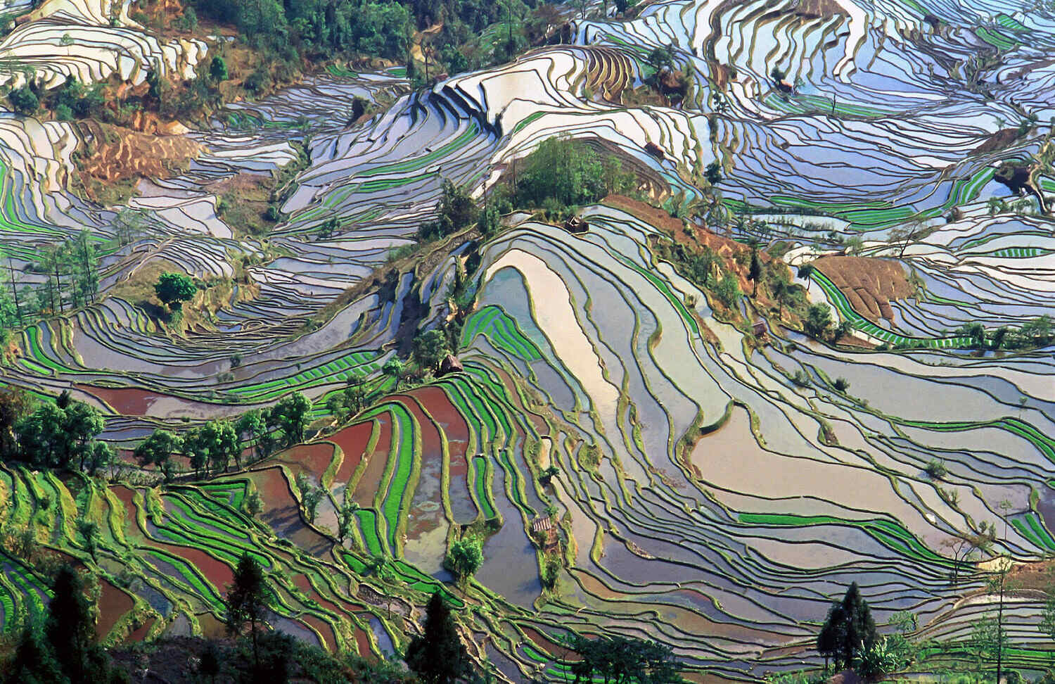 Yuan-Yang-The-Chinese-Rice-Terraces-Of-Dreams yuan-yang-the-chinese-rice-terraces-of-dreams