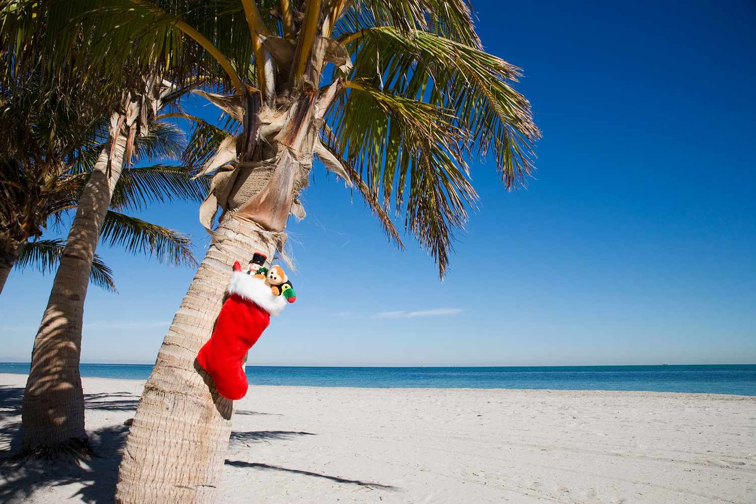 10-Destinations-For-A-Tropical-Christmas 10-destinations-for-a-tropical-christmas