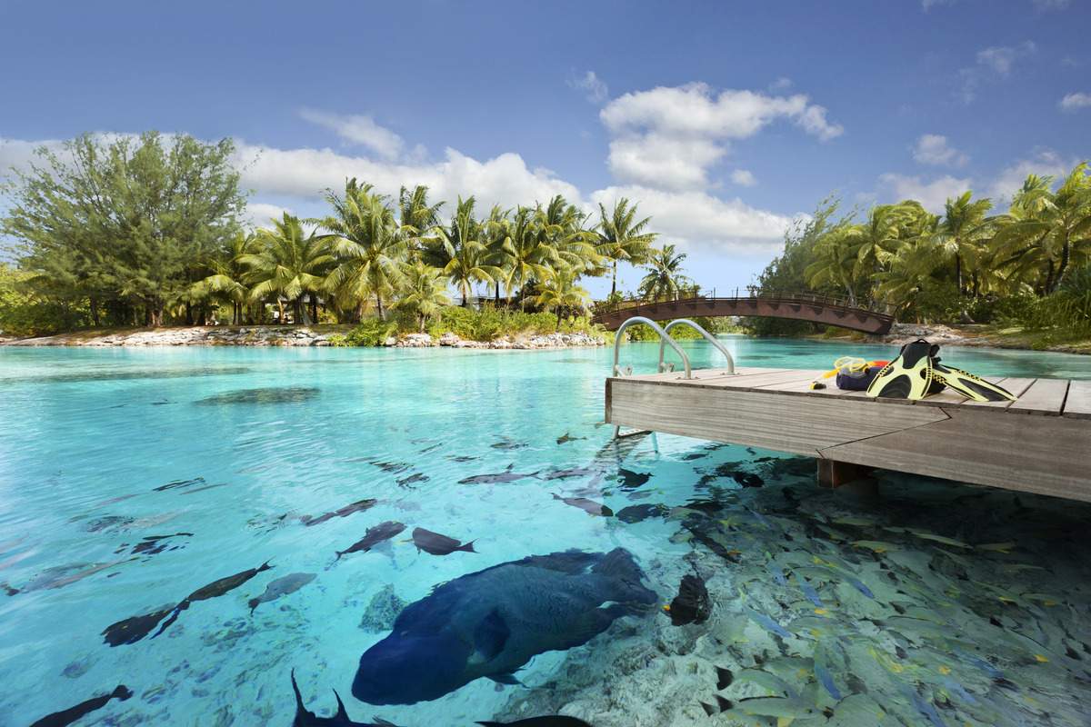 15-BEST-Bora-Bora-Resorts-Complete-Guide 15-best-bora-bora-resorts-complete-guide