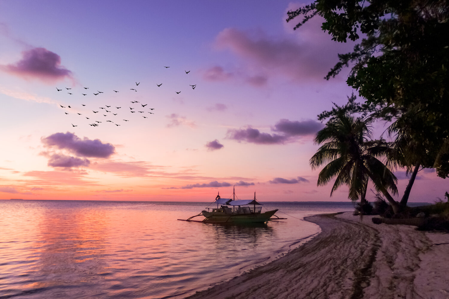 20-Awesome-Things-To-Do-In-Moalboal-Best-Tourist-Spots 20-awesome-things-to-do-in-moalboal-best-tourist-spots