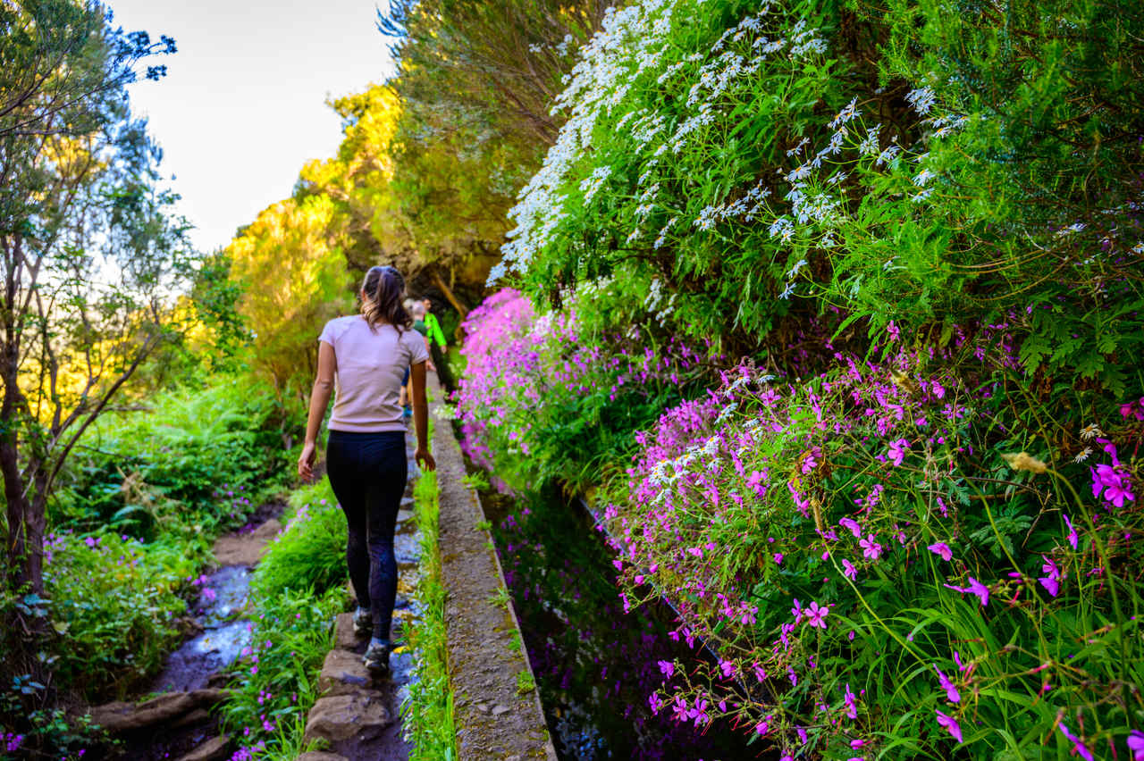 25-Best-Levada-Walks-On-Madeira-Ultimate-Guide 25-best-levada-walks-on-madeira-ultimate-guide