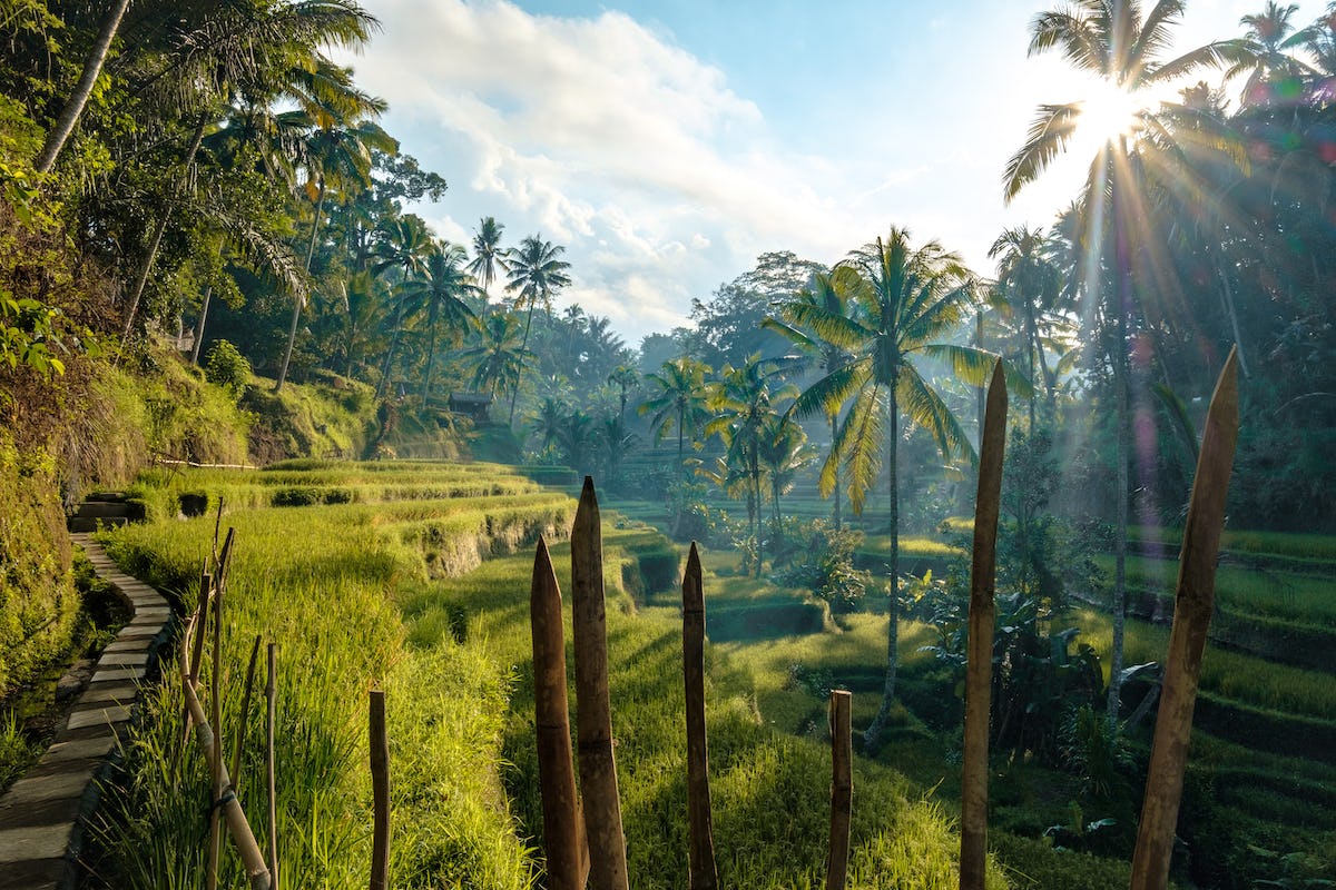 bali-travel-tips-where-to-eat-stay-play