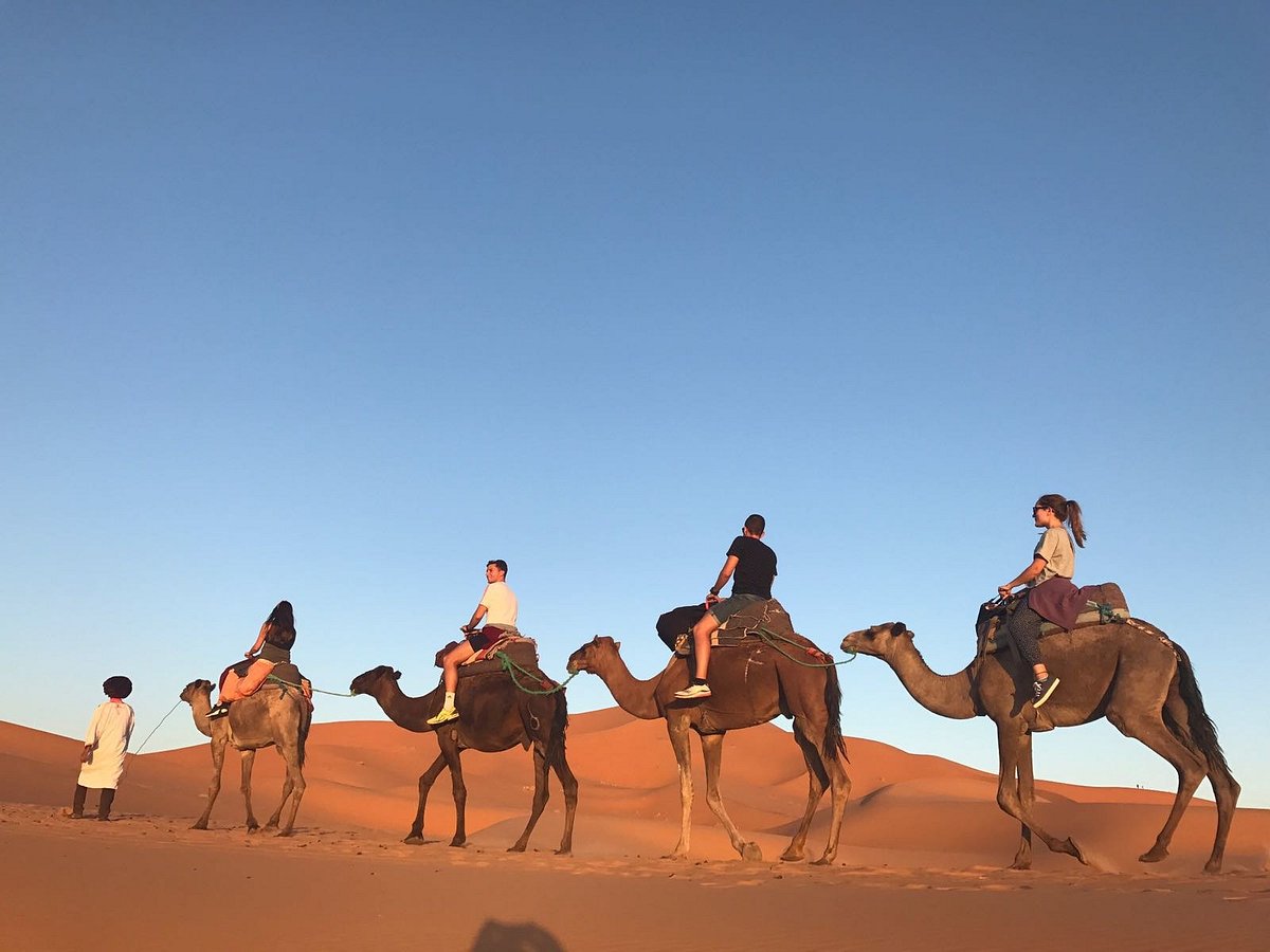 Camel-Trekking-The-Best-Camel-Riding-In-The-Sahara-Desert-Experience camel-trekking-the-best-camel-riding-in-the-sahara-desert-experience