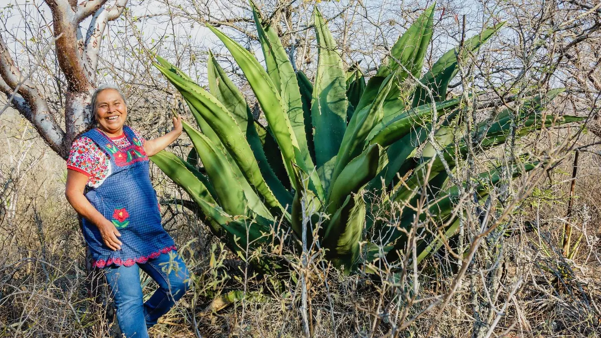 Can-Mezcal-Survive-Being-Popular can-mezcal-survive-being-popular