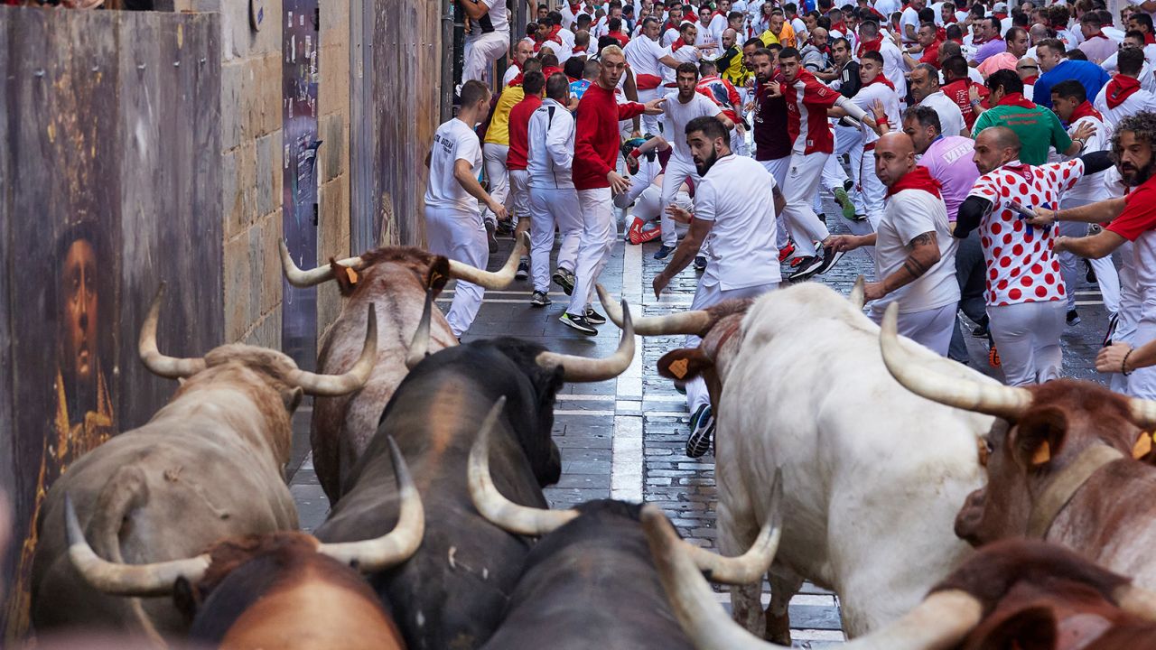 Controversy-Ethics-And-Bull-Running-Why-I-Ran-With-The-Bulls-Why-You-May-Not controversy-ethics-and-bull-running-why-i-ran-with-the-bulls-why-you-may-not