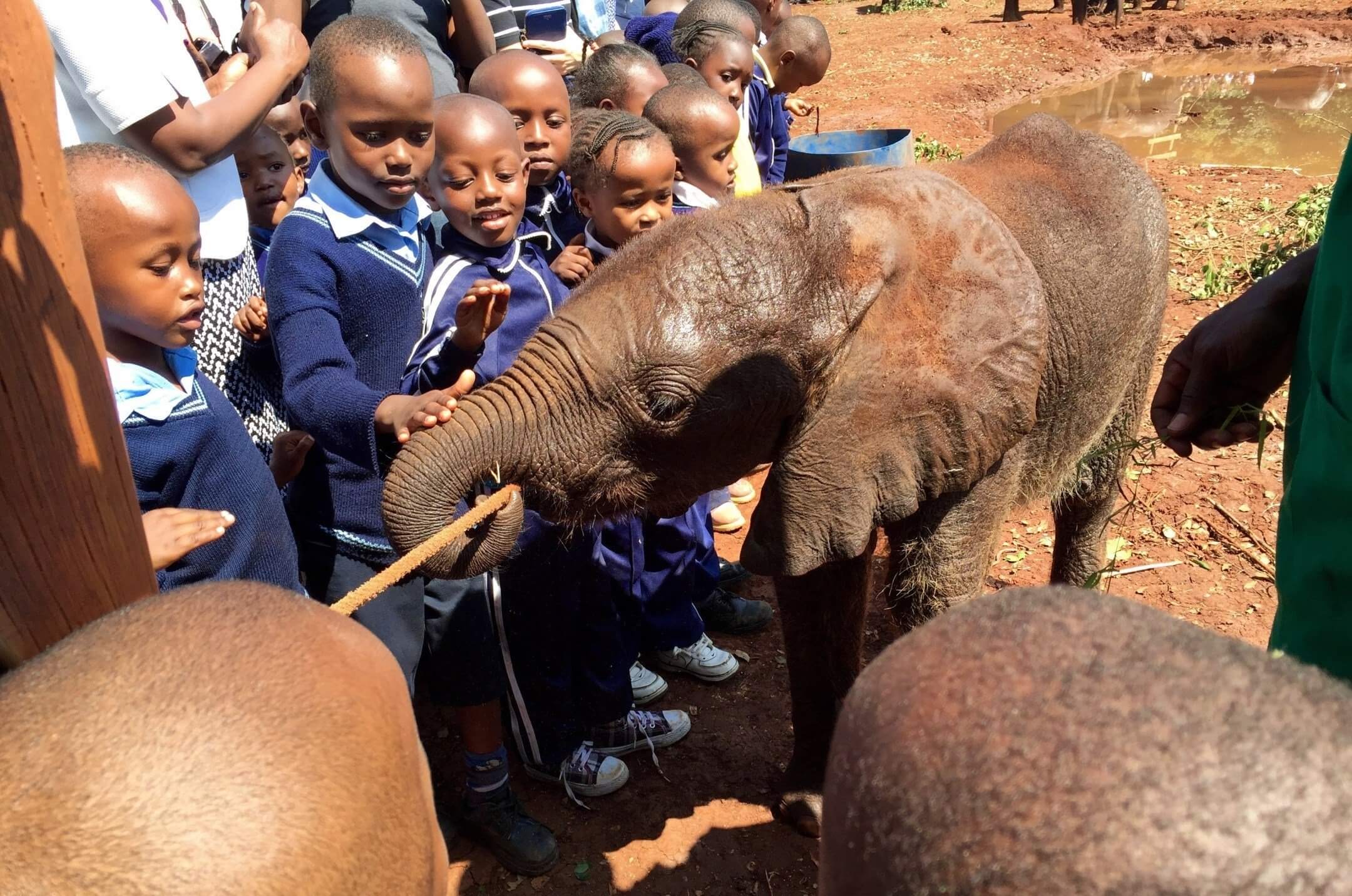 Ethical-Animal-Encounters-Around-The-World-and-How-To-Find-Them ethical-animal-encounters-around-the-world-and-how-to-find-them