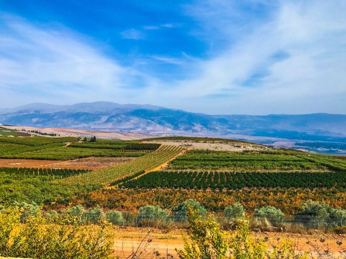 Farrah-Berrou-Into-The-Beqaa-Valley farrah-berrou-into-the-beqaa-valley