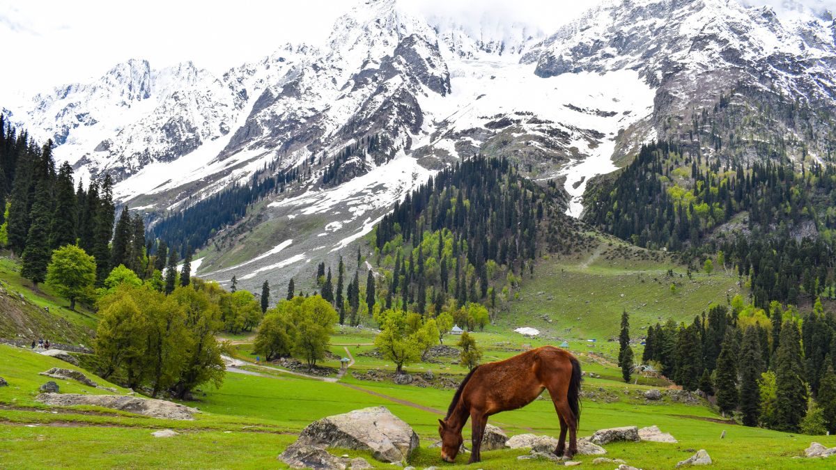 Hamlet-In-Kashmir hamlet-in-kashmir