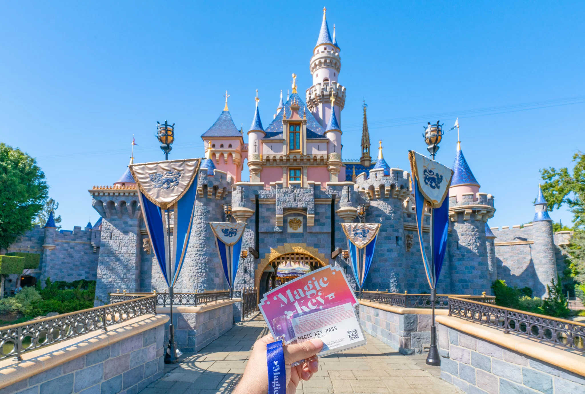 how-much-does-a-guided-tour-at-disneyland-cost