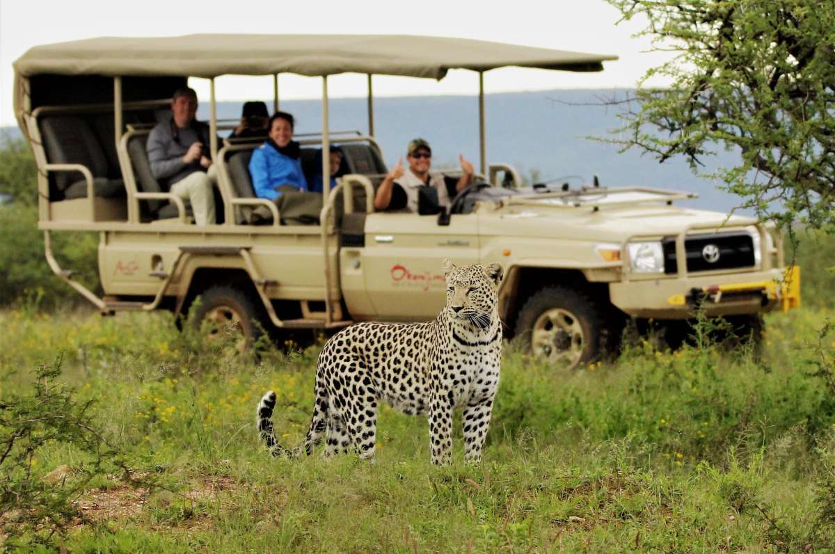 How-Much-To-Budget-For-An-African-Safari how-much-to-budget-for-an-african-safari