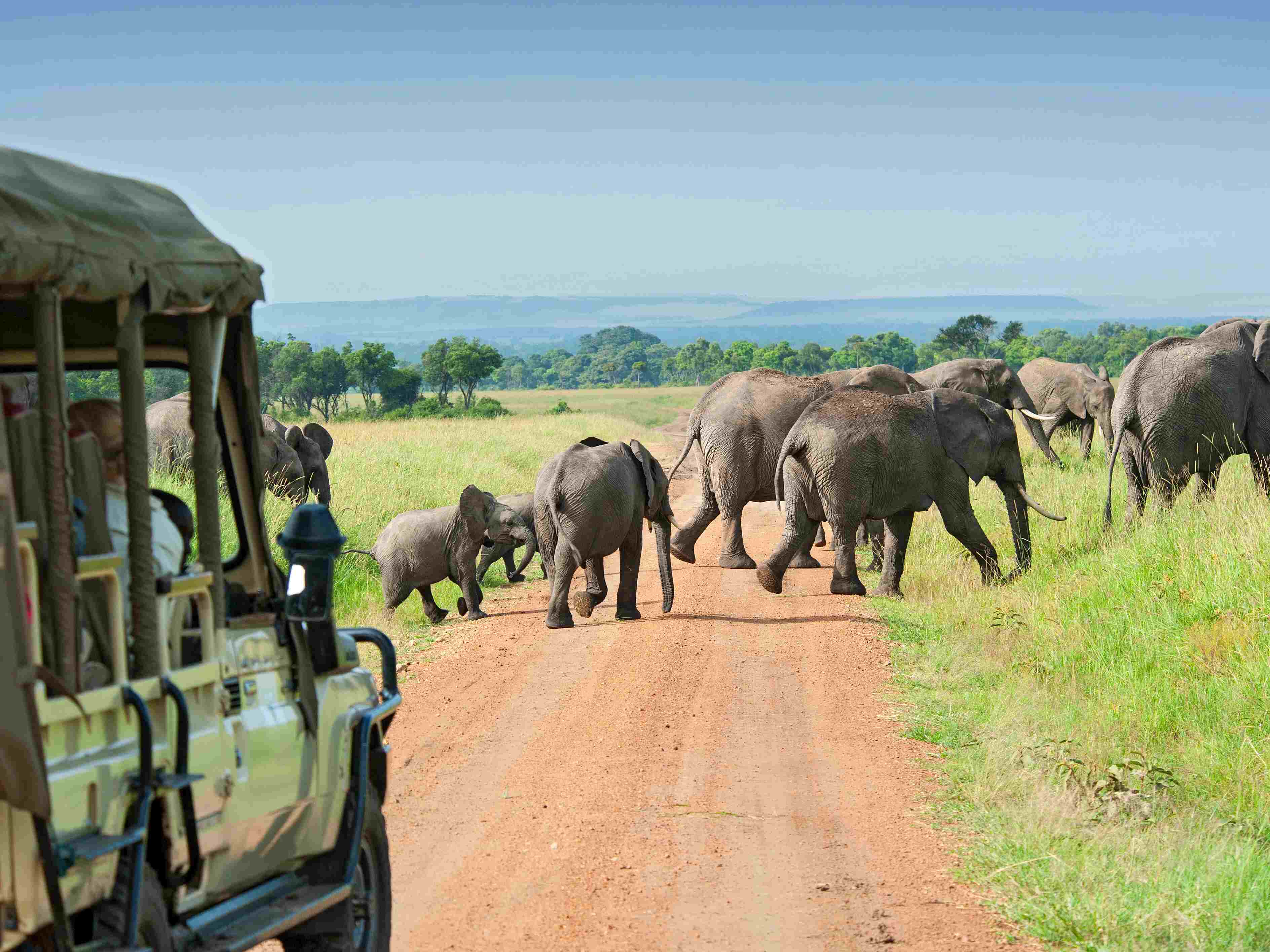 How-To-Choose-An-African-Safari-That8217s-Right-For-You how-to-choose-an-african-safari-thats-right-for-you