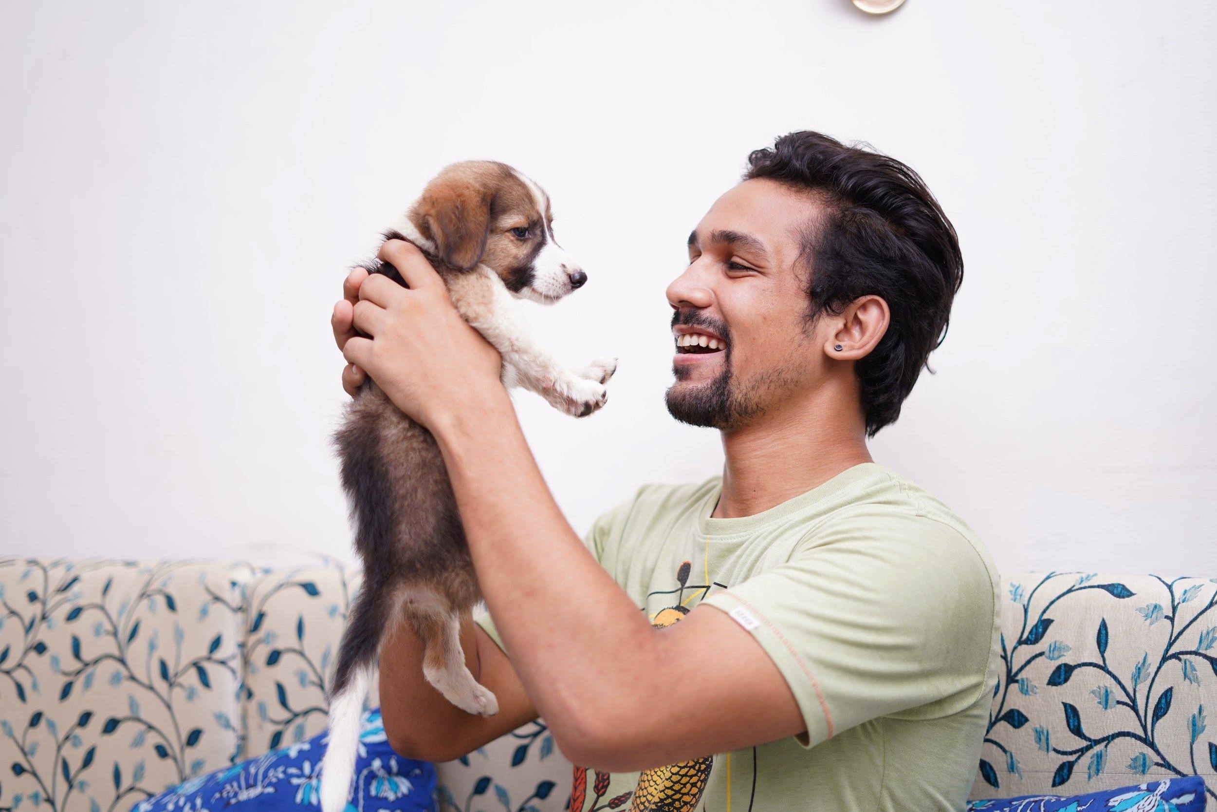 How-To-Get-An-Emotional-Support-Animal-Letter how-to-get-an-emotional-support-animal-letter