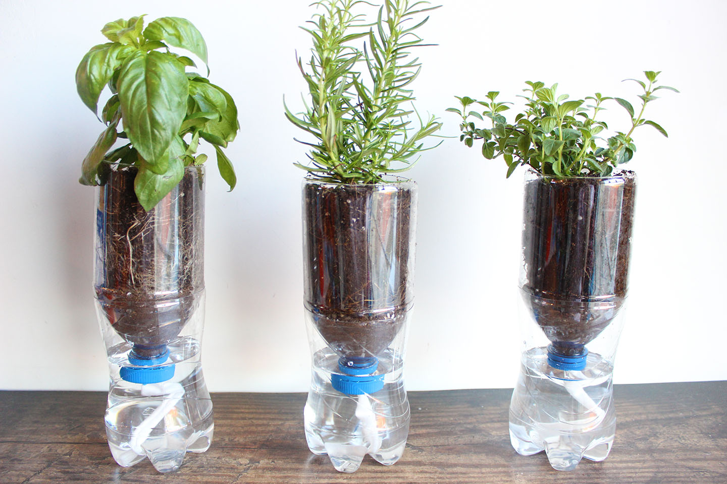 How-To-Reuse-Plastic-Bottle how-to-reuse-plastic-bottle