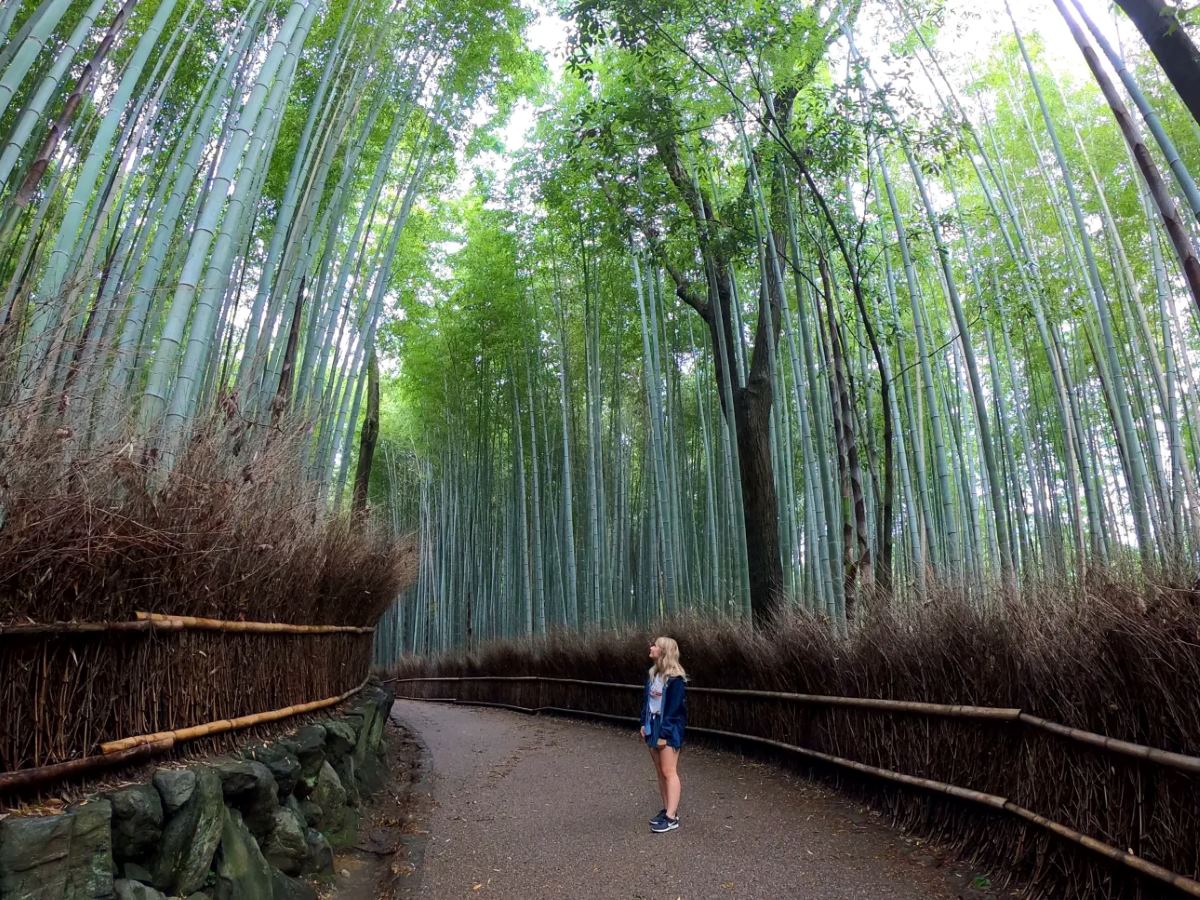 How-To-Visit-Japan-On-A-Budget how-to-visit-japan-on-a-budget