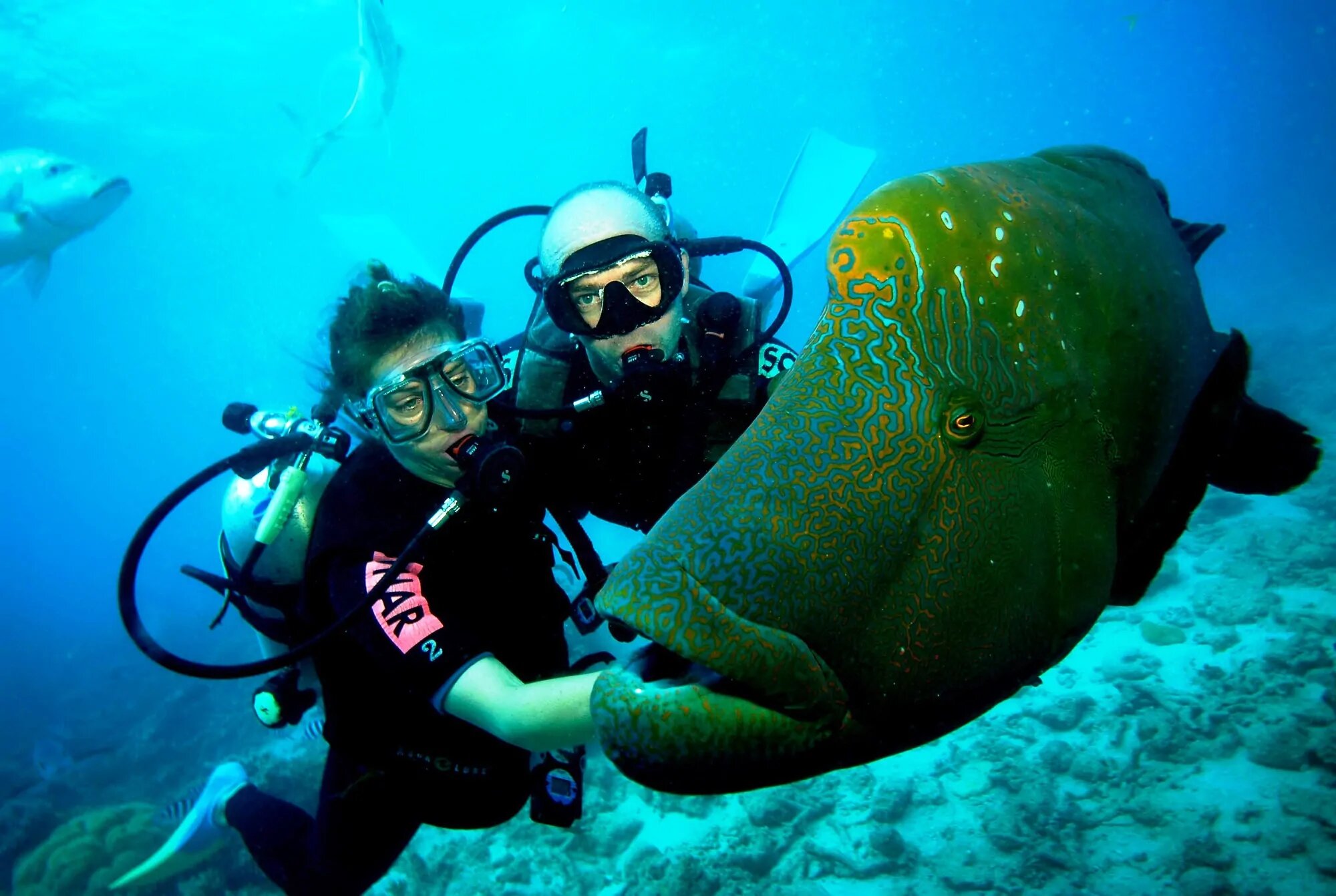 How-Travellers-Can-Help-Protect-The-Great-Barrier-Reef how-travellers-can-help-protect-the-great-barrier-reef