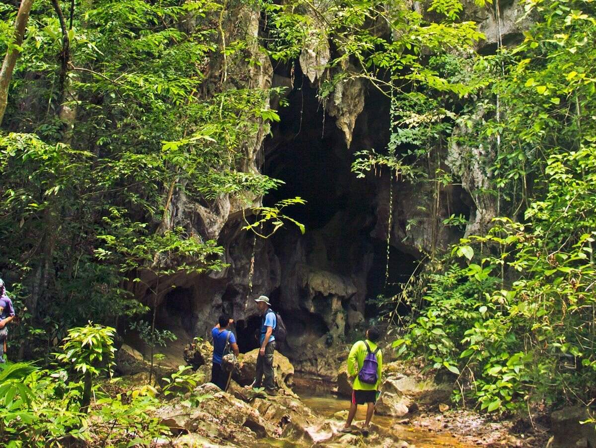 jungle-trekking-in-khao-sok-thailand-a-complete-visitors-guide