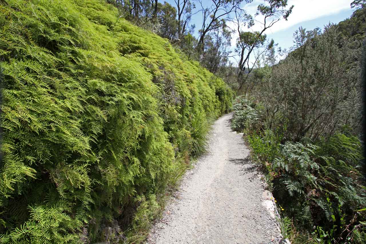 Mount-Lofty-Walking-Trails-Six-Routes-To-The-Summit mount-lofty-walking-trails-six-routes-to-the-summit
