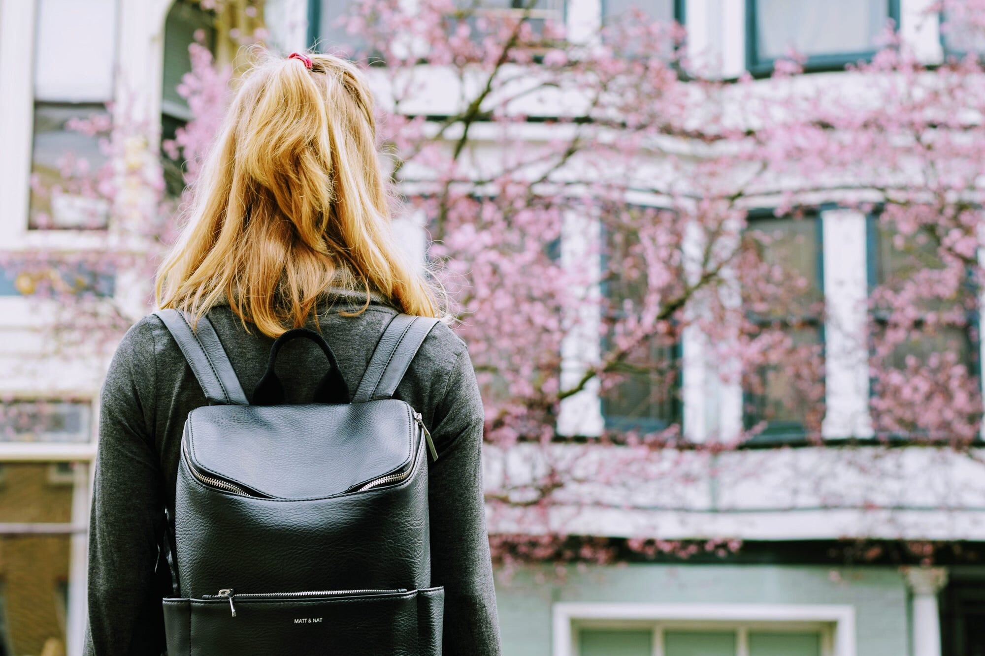 My-Biggest-Travel-Regret-Not-Studying-Abroad my-biggest-travel-regret-not-studying-abroad