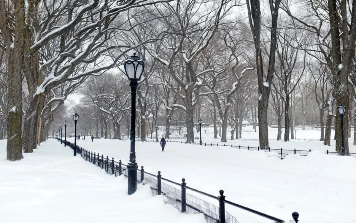 new-york-is-truly-magical-covered-in-snow