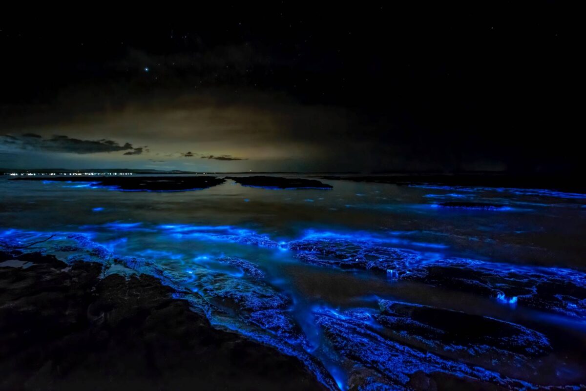 Red-Tide-Magic-8211-Bioluminescence-Captured-At-Night-In-San-Diego red-tide-magic-bioluminescence-captured-at-night-in-san-diego
