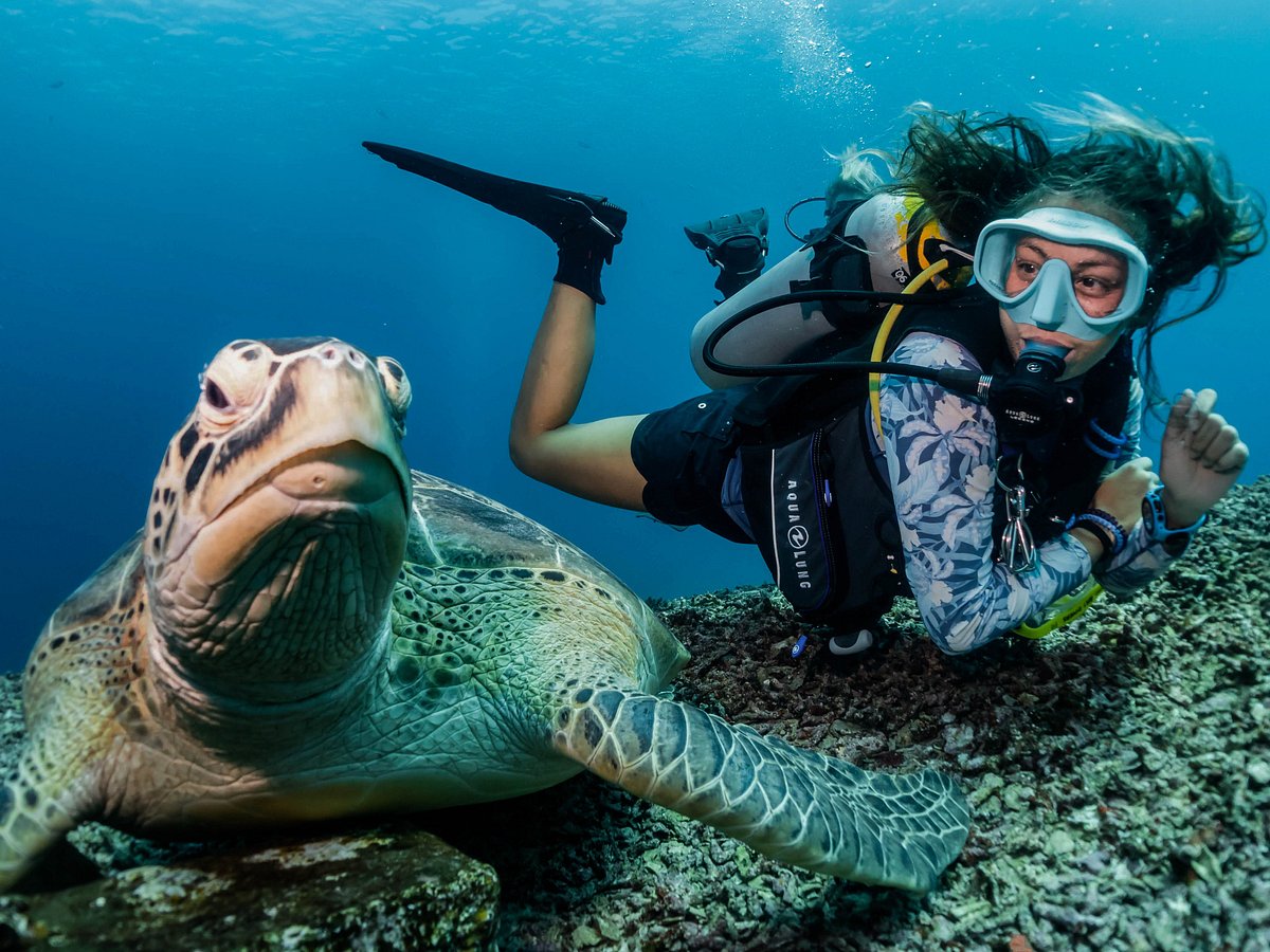 Scuba-Diving-With-Trawangan-Dive-Centre-In-Gili-T scuba-diving-with-trawangan-dive-centre-in-gili-t