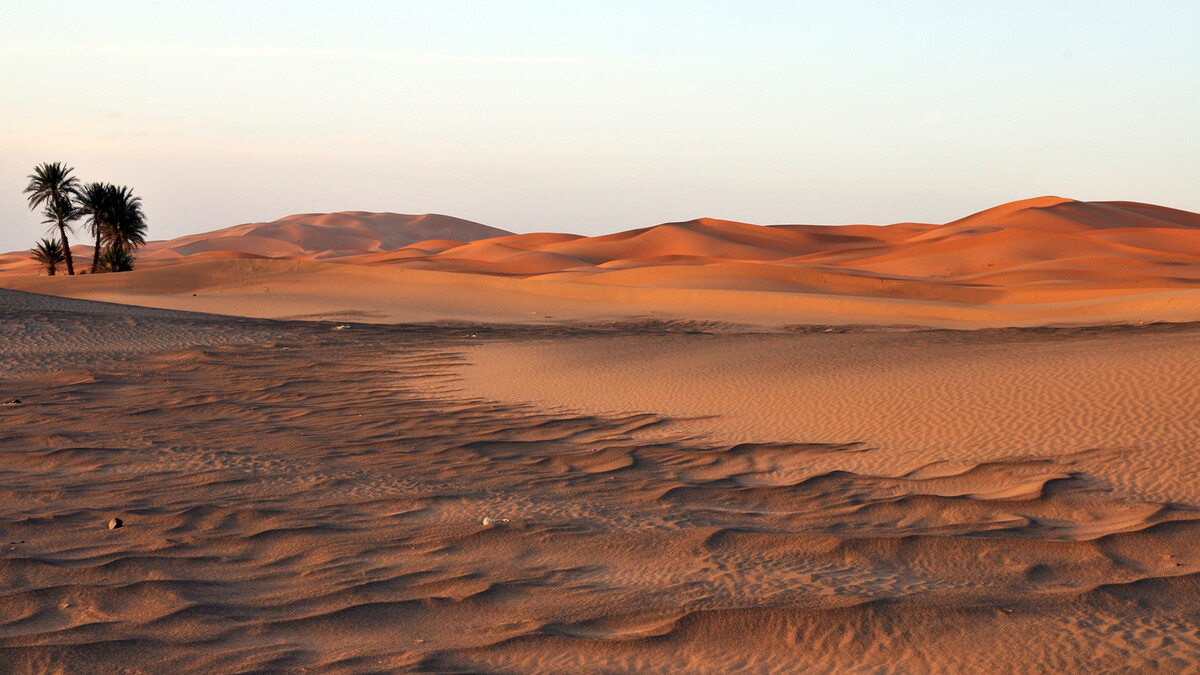 Sounds-Of-The-Sahara sounds-of-the-sahara
