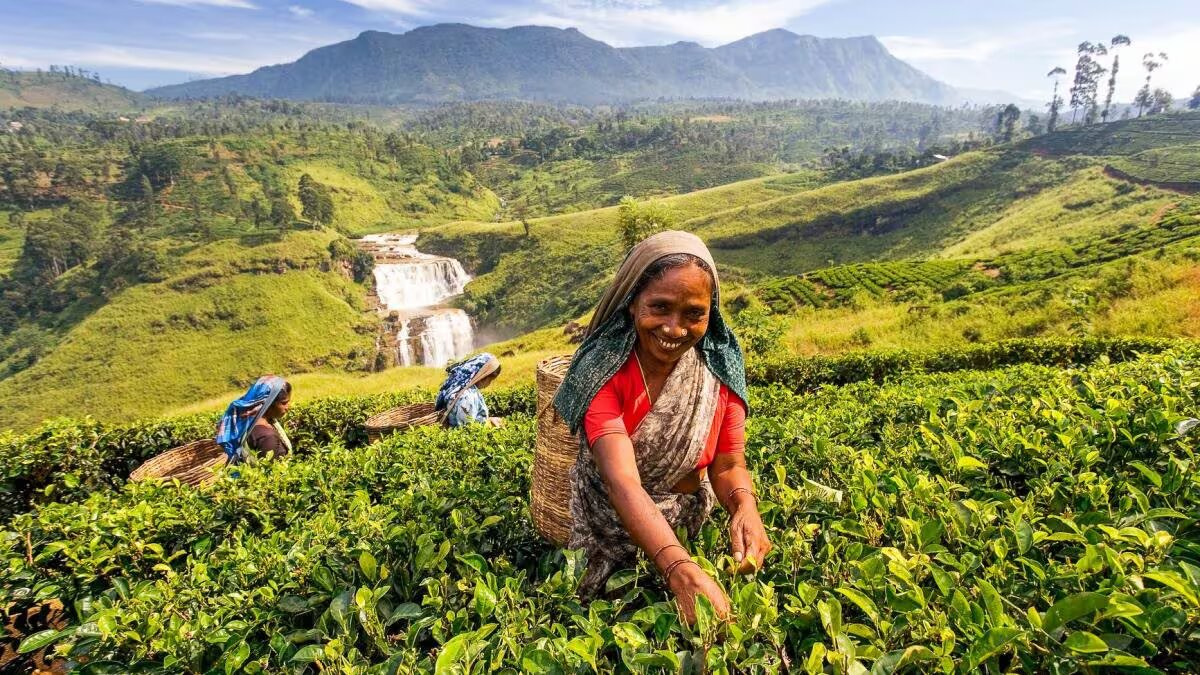 sri-lankans-making-a-stranger-feel-like-family