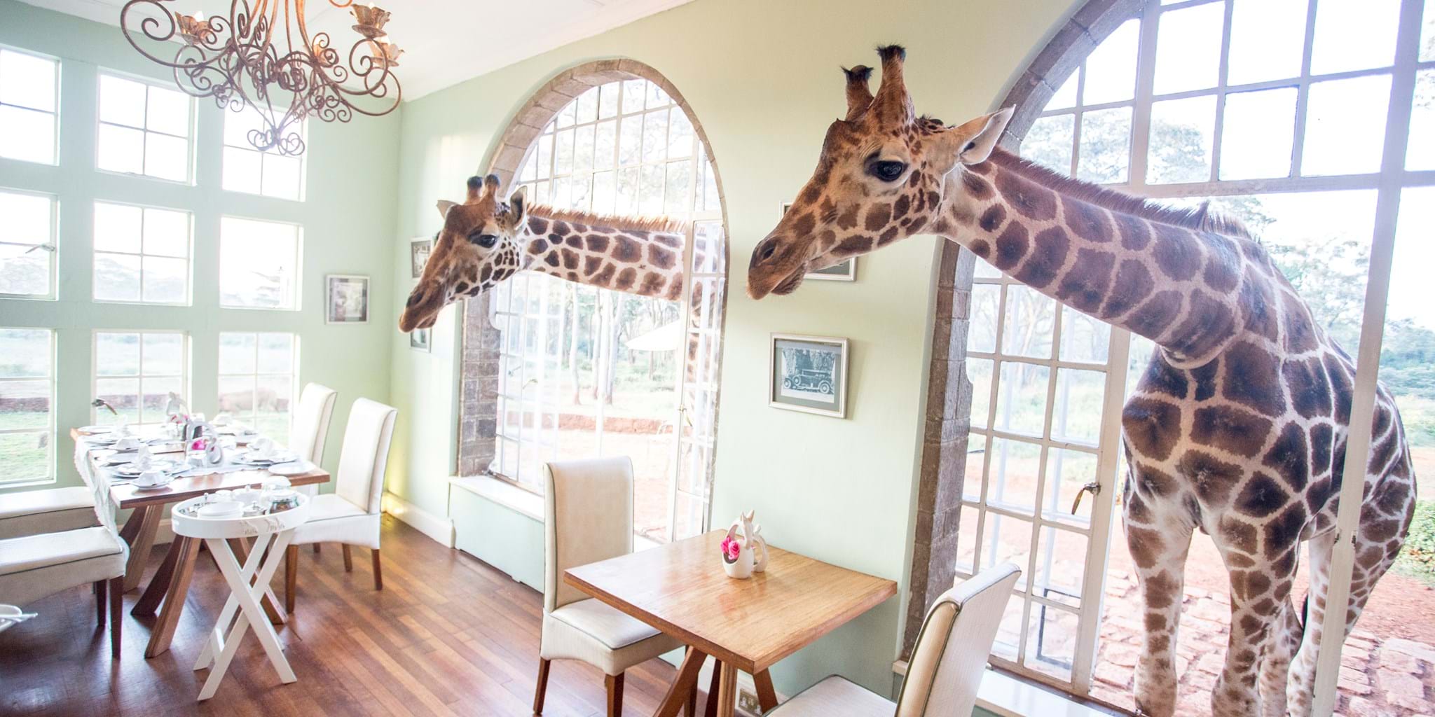 Staying-At-Giraffe-Manor-In-Kenya staying-at-giraffe-manor-in-kenya