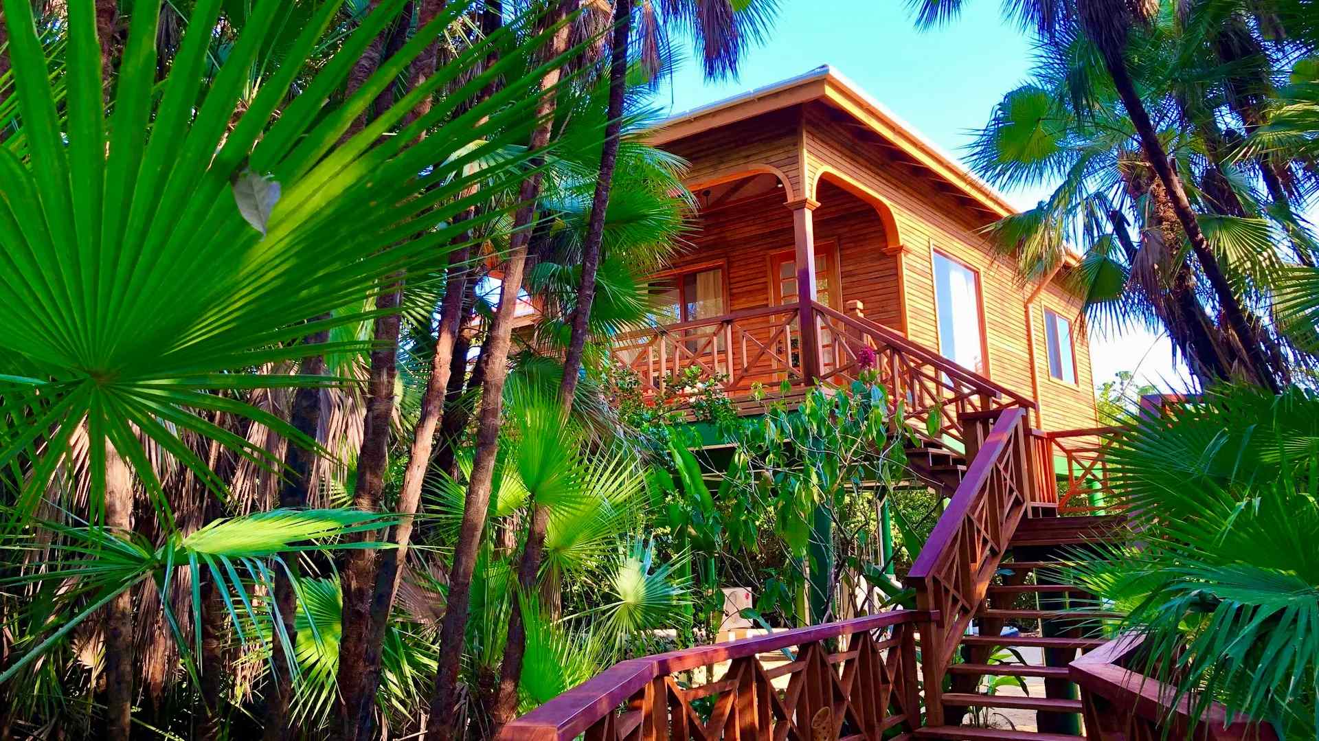 Staying-At-Hamanasi-Adventure-038-Dive-Resort-In-Belize staying-at-hamanasi-adventure-dive-resort-in-belize