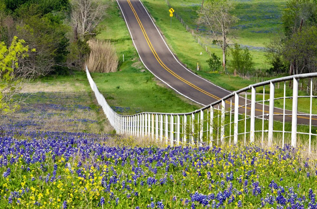 texas-road-trip-itinerary-must-see-stops