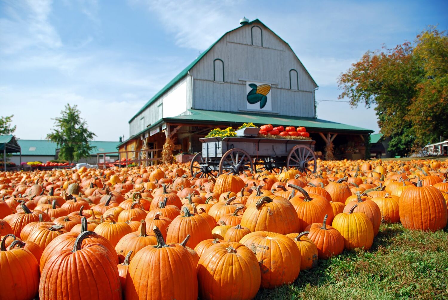 The-Best-Fall-Festivals-In-PA the-best-fall-festivals-in-pa