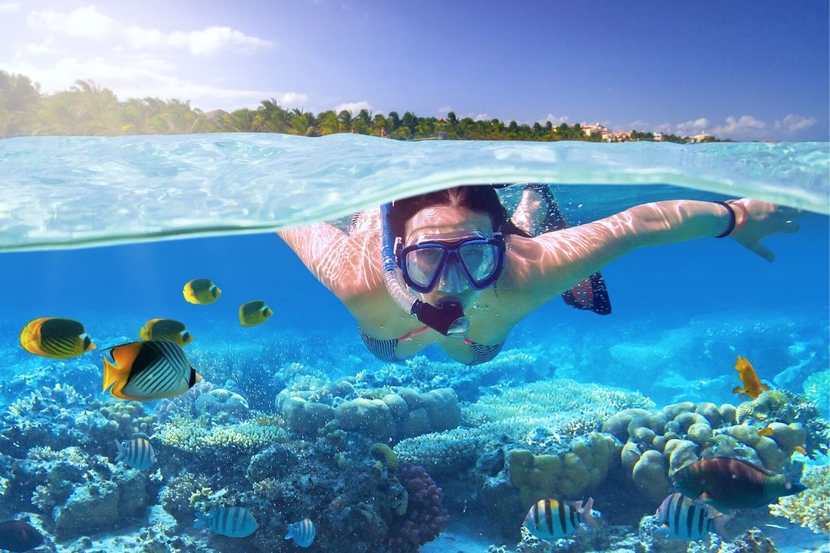 the-best-snorkeling-on-the-big-island-of-hawaii
