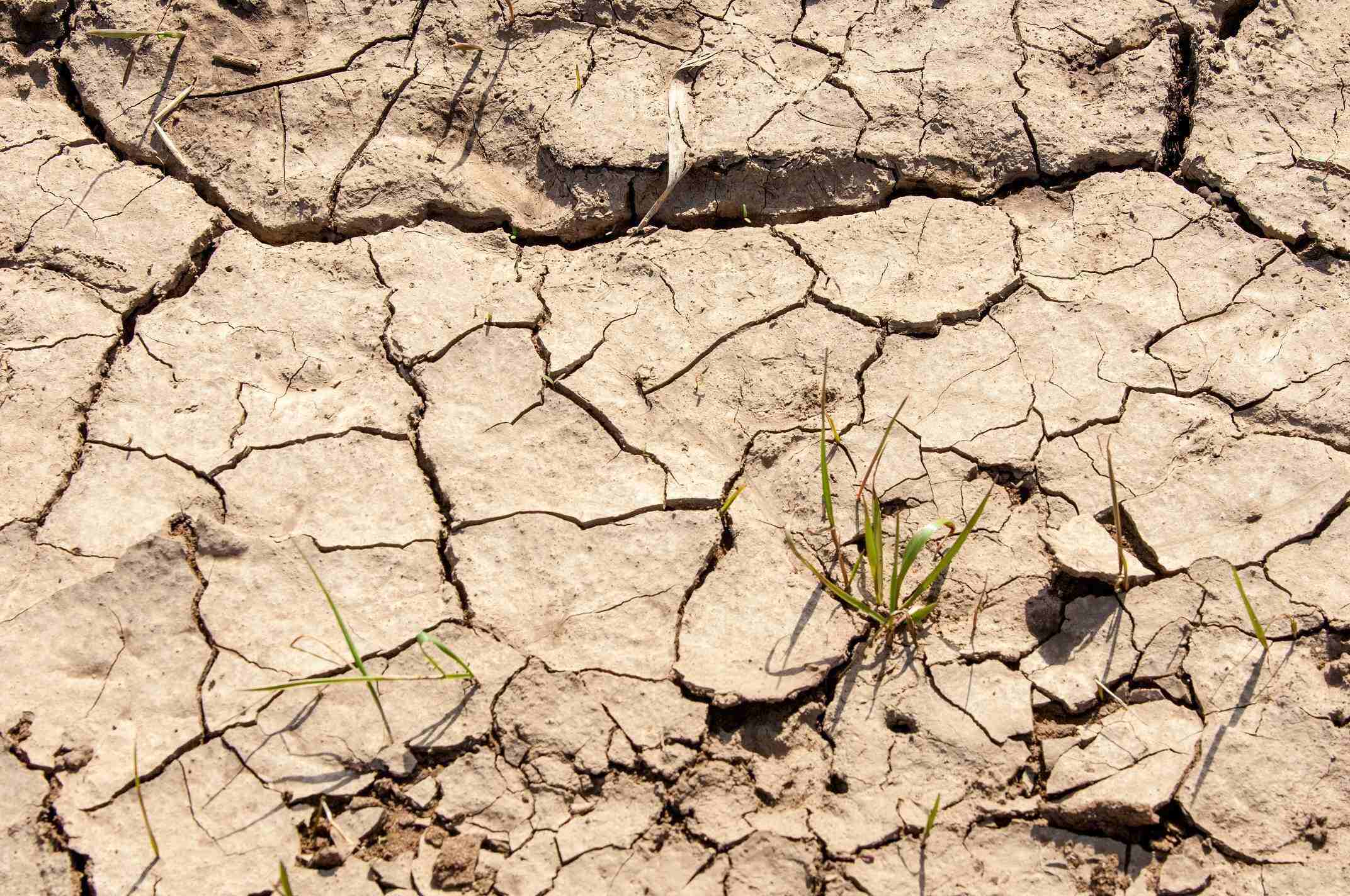 the-cape-town-drought-explained-for-visitors