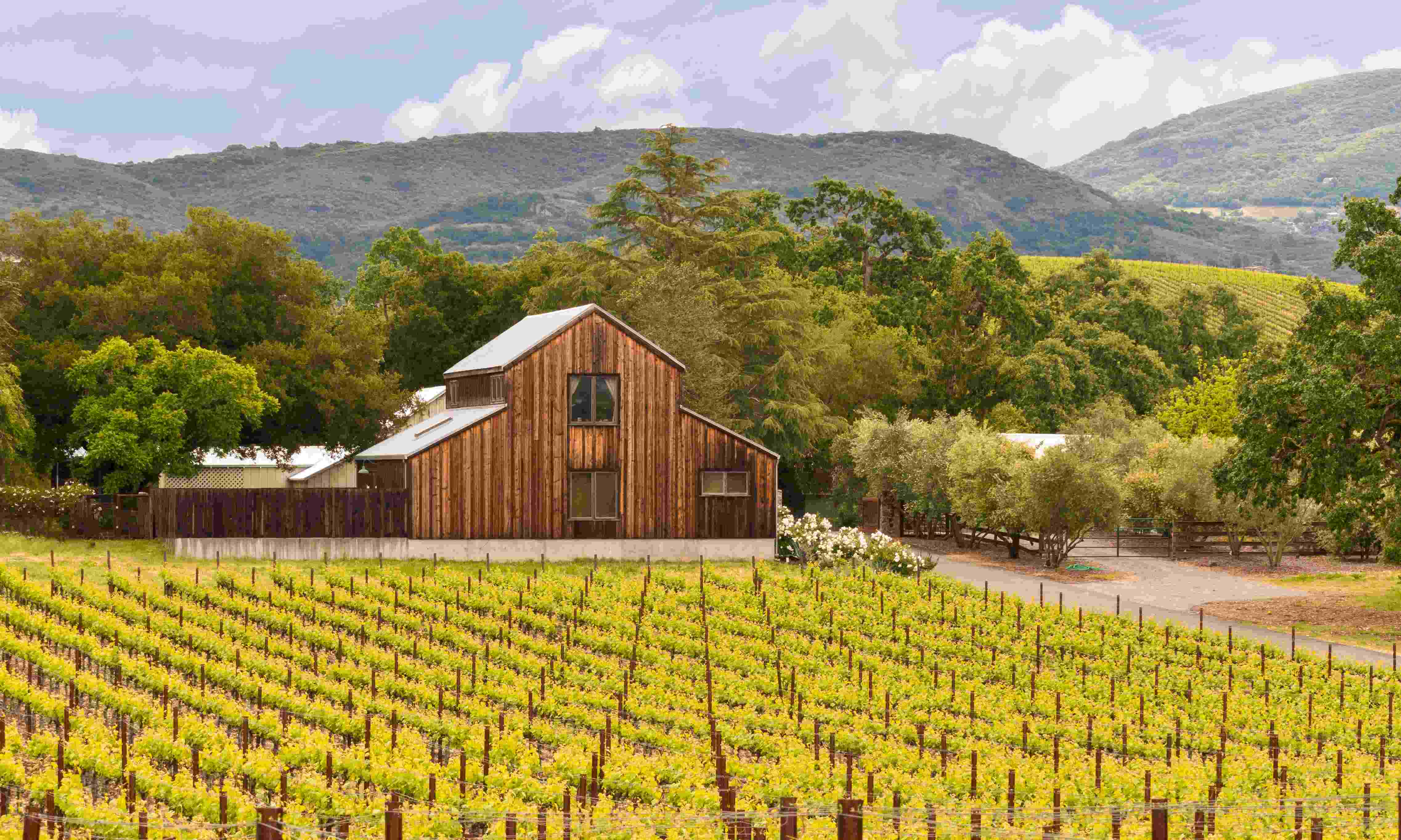 The-Coolest-Airbnbs-In-Napa the-coolest-airbnbs-in-napa