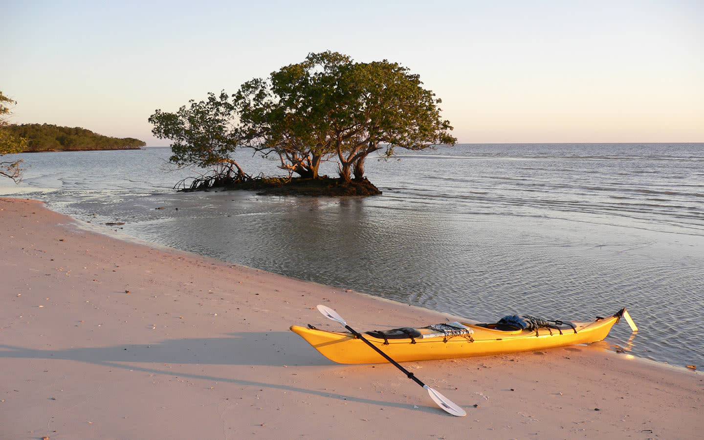 the-everglades-in-florida-usa-things-to-know-before-you-visit