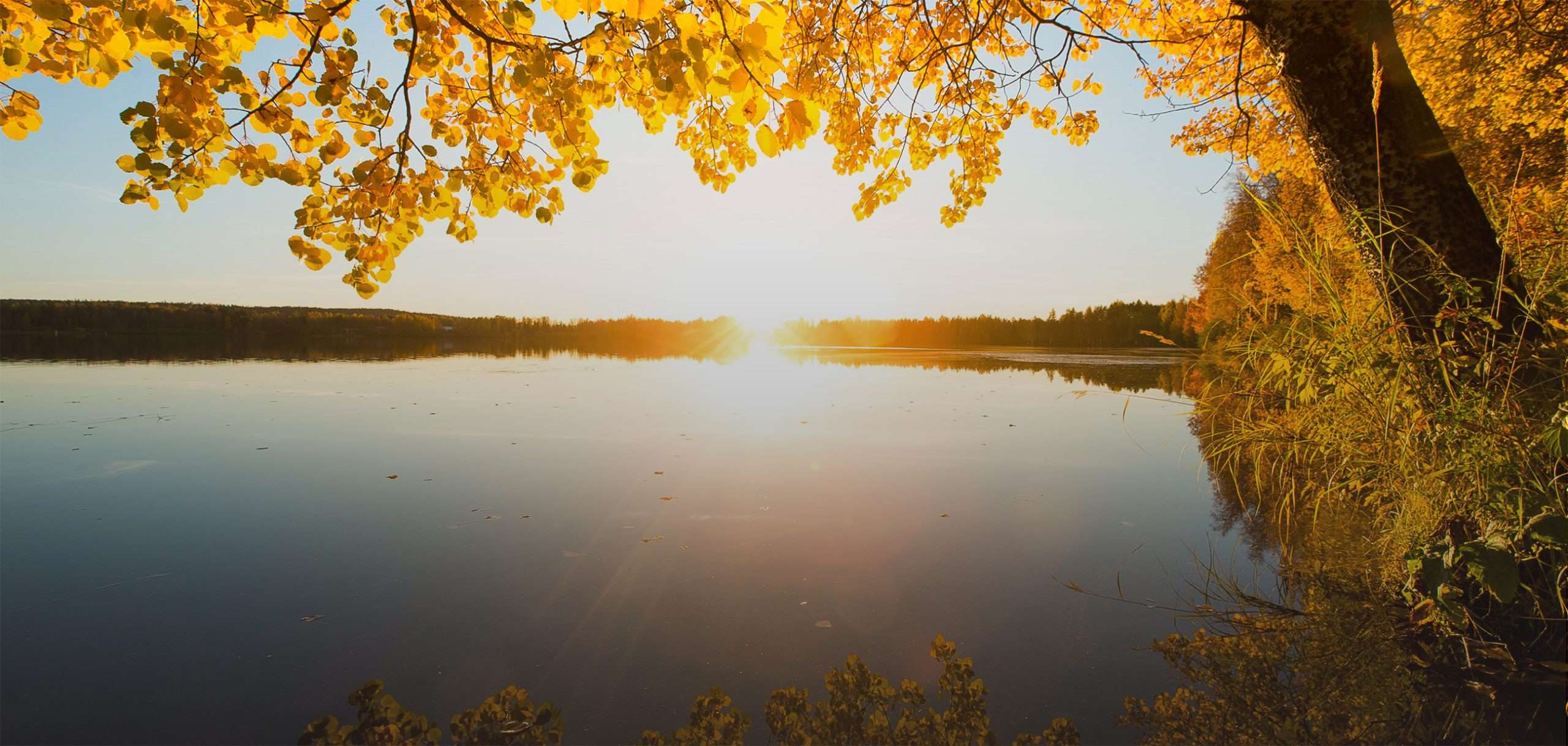 The-First-24-Hours-In-Lapland-Finland the-first-24-hours-in-lapland-finland